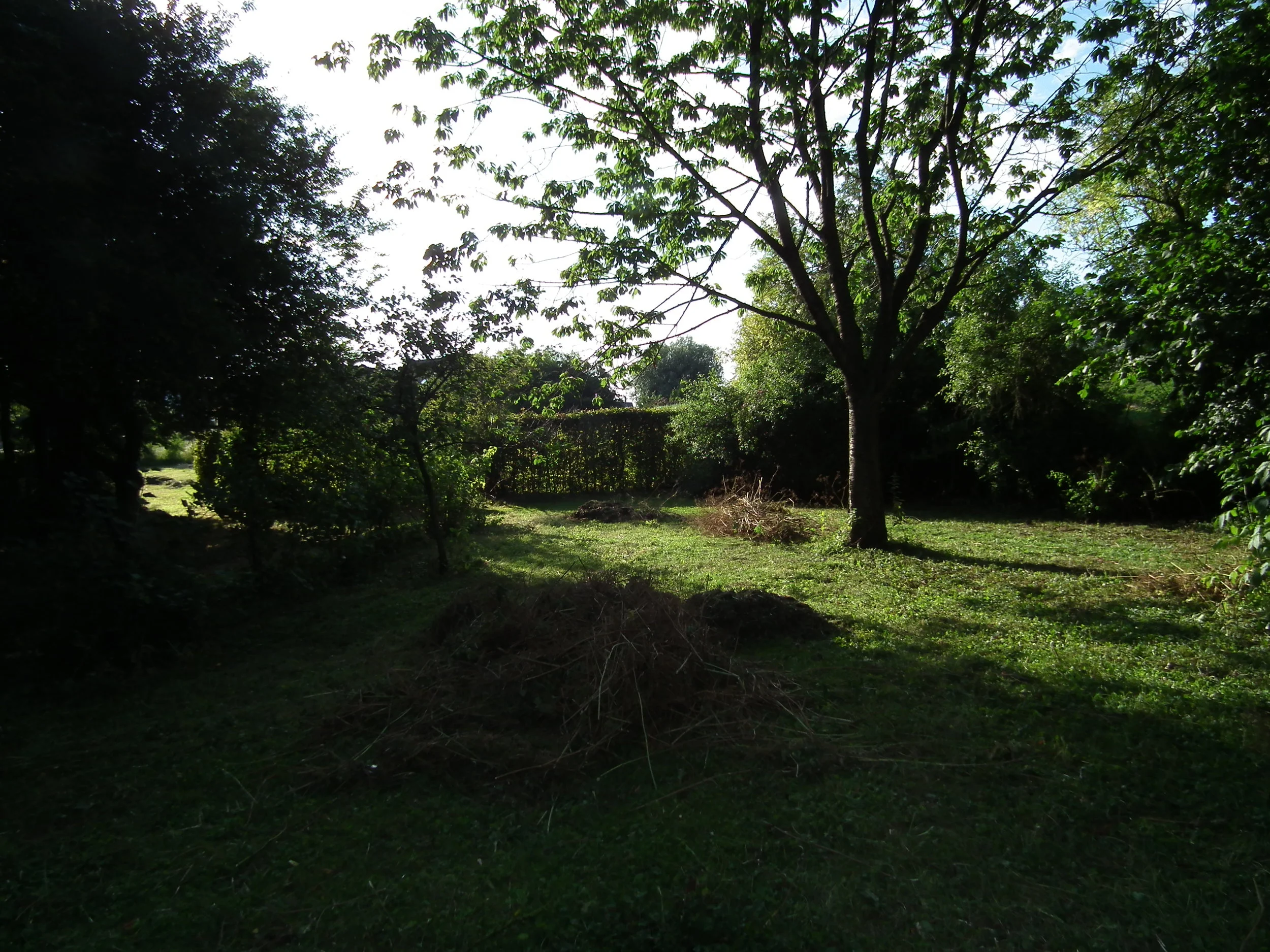 DSCF0400.JPG