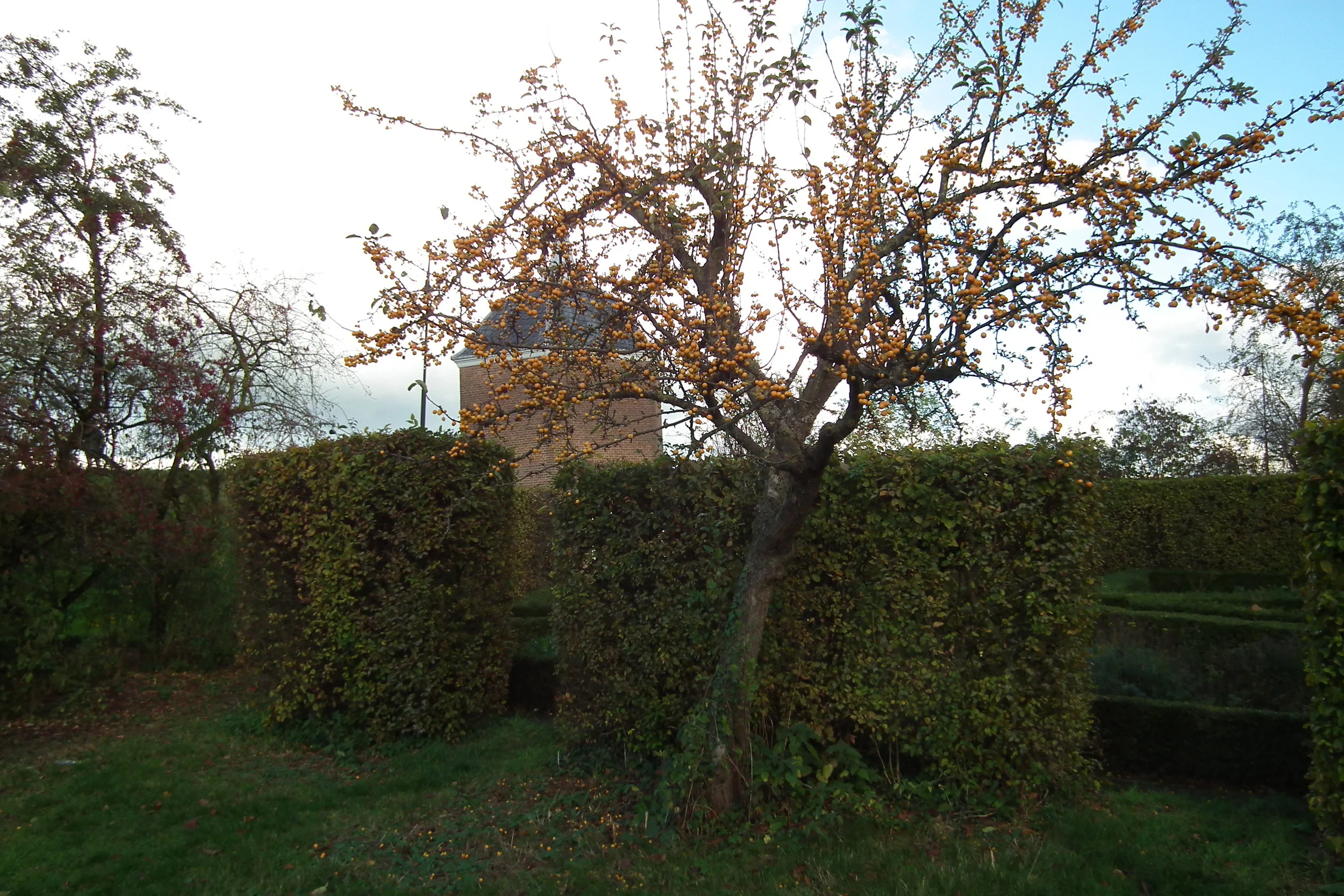 DSCF2205.JPG