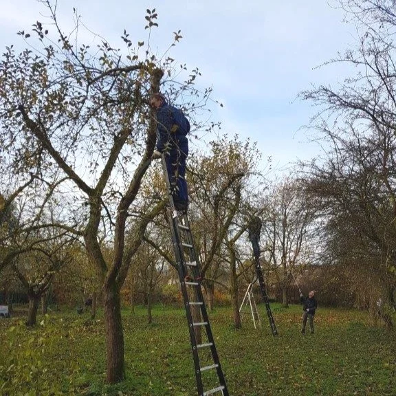 2019-01-12%2Bfoto%2Bfruitsnoei.jpg