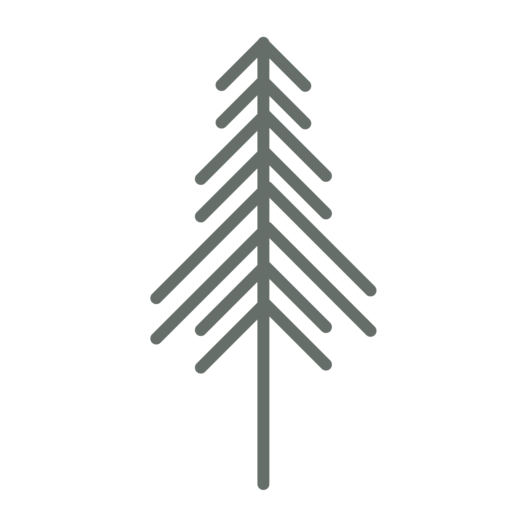 pine-tree.png