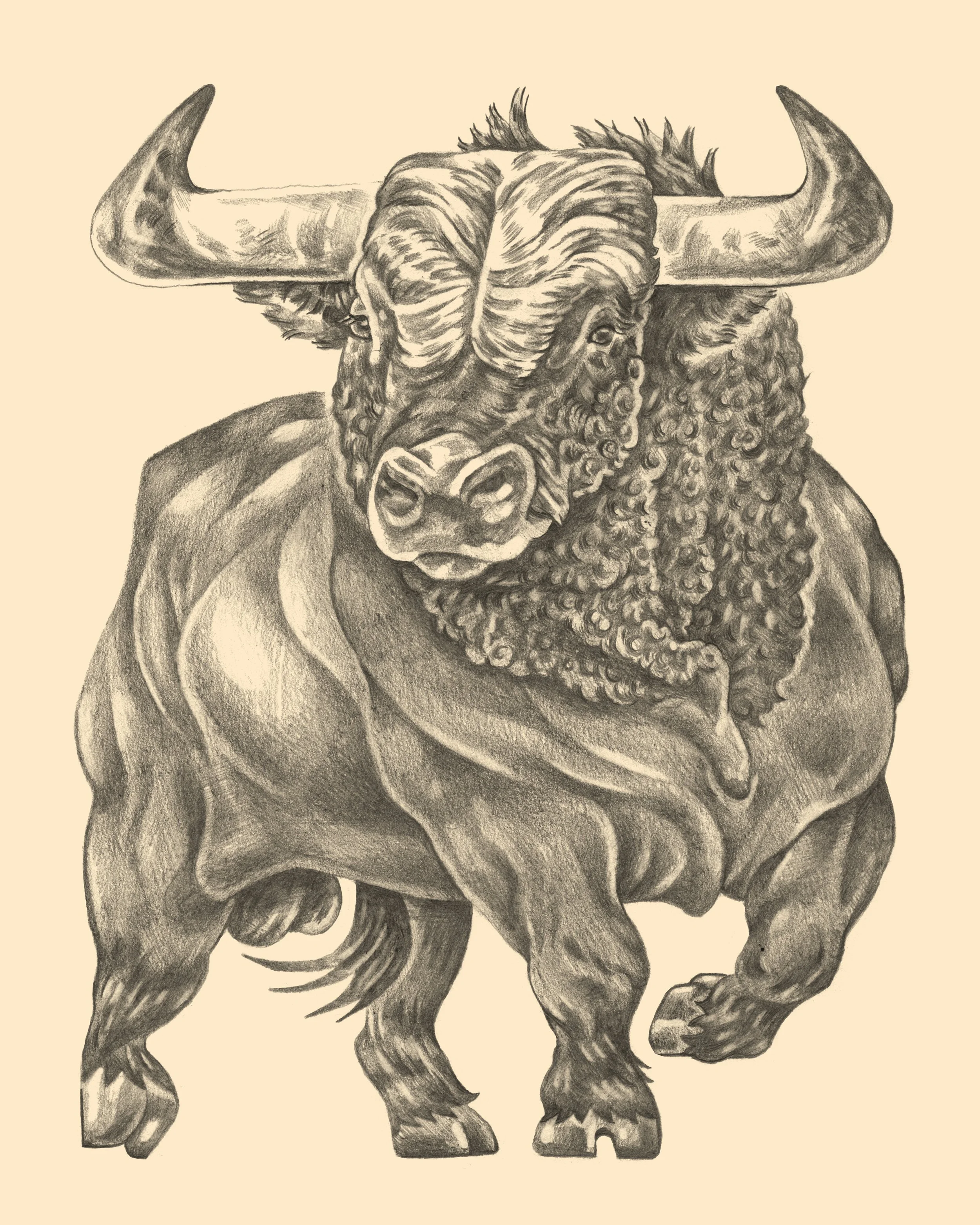 Toro_8%22x10%22.jpg
