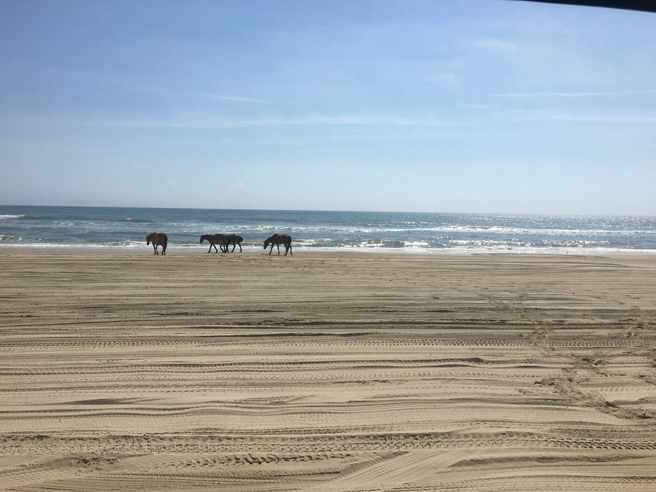 OBX, North Carolina 