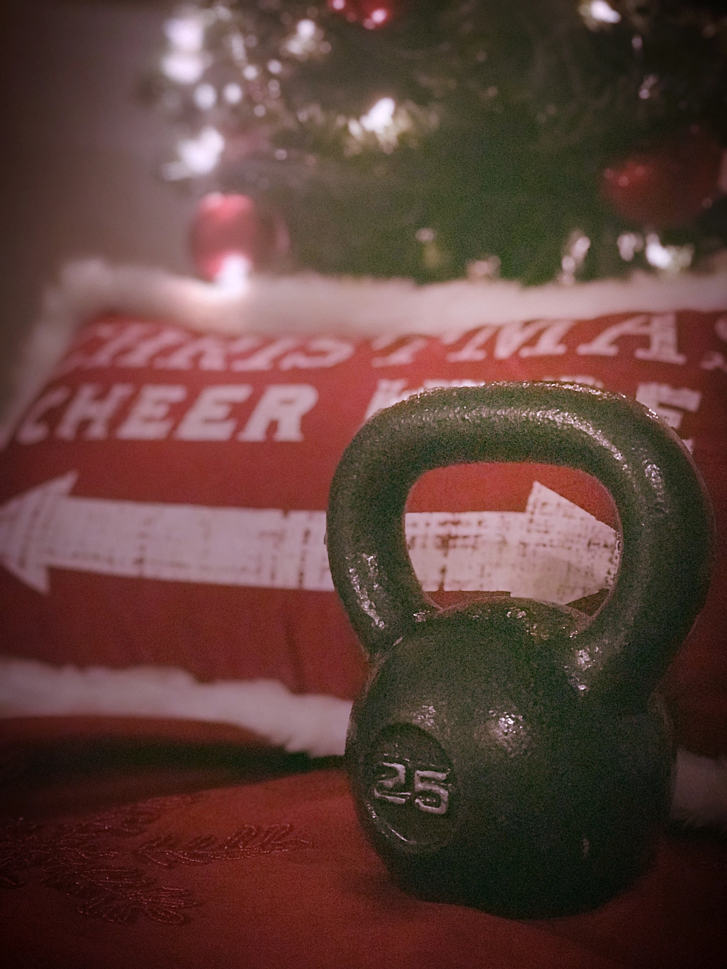 12 Days of Christmas Workout