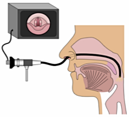 The findings of the examination are captured on video and played back to you after the procedure.