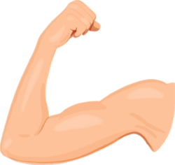 Cannell-SagaIllos-Bicep.png