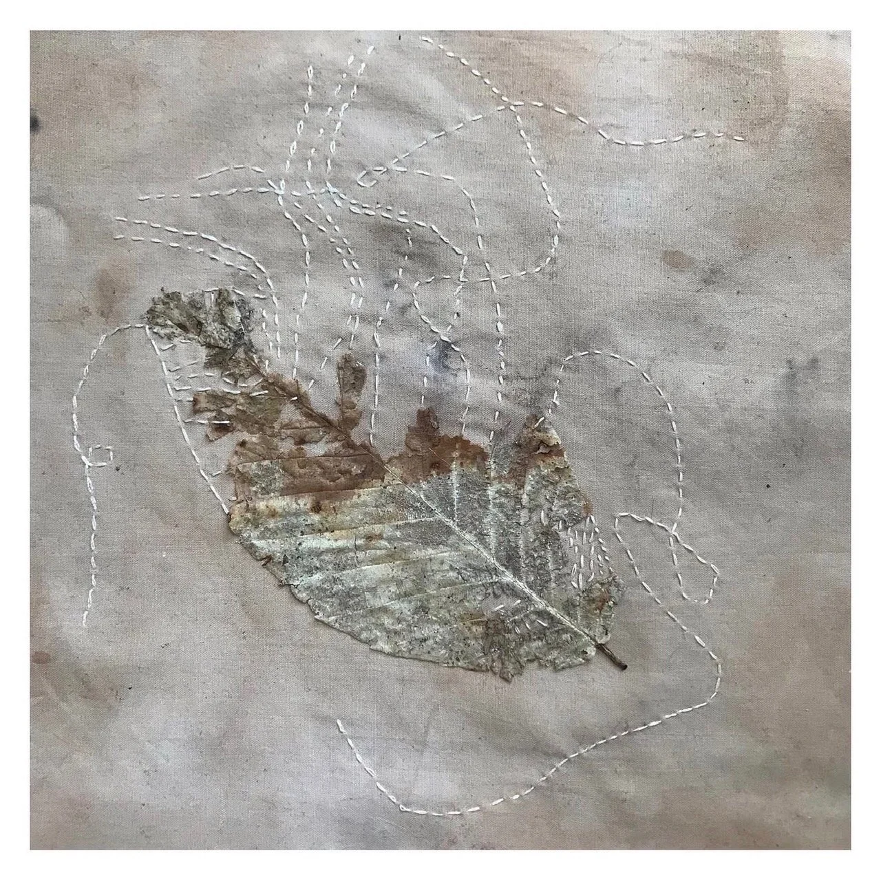Contact (Fragment I)