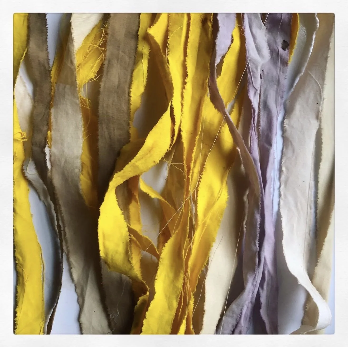 Natural Dyed Fabrics I