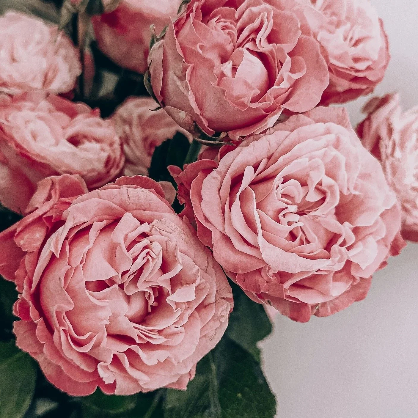 unsplash-image-oEWdQsbRVZk.jpg