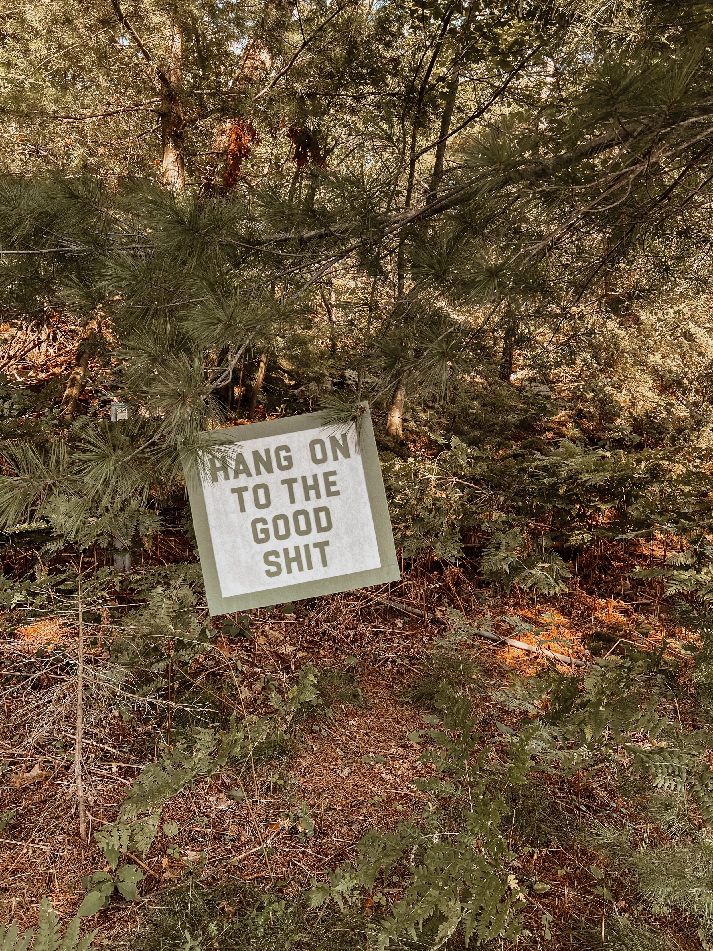 A forest scene with dense green trees and foliage. A partially visible sign hanging among the trees reads "HANG ON TO THE GOOD SHIT."
