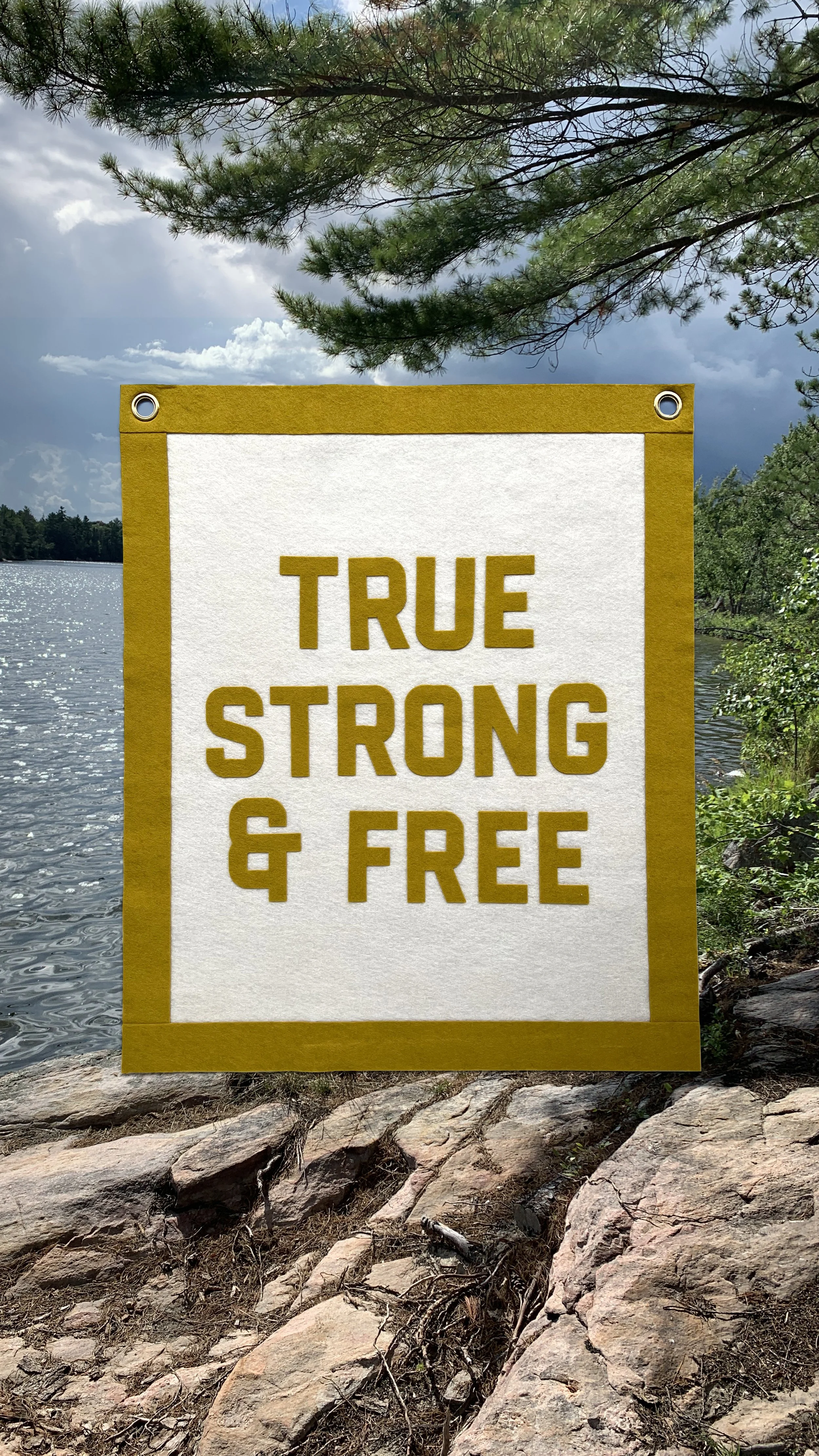 Sign near a lake with trees in the background that reads 'True, Strong & Free'.