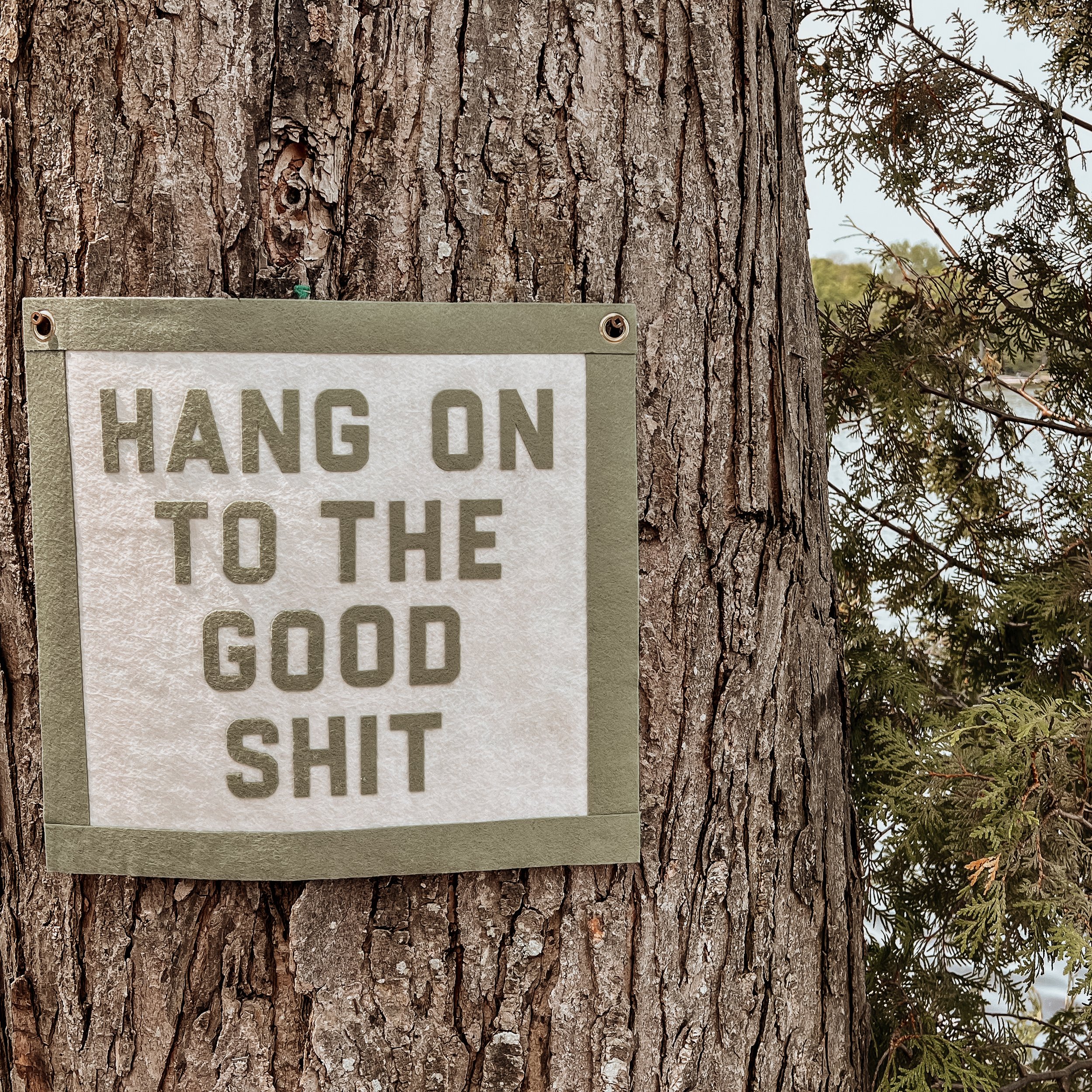 Close-up of a tree trunk with rough, textured bark and a partial sign attached to it.