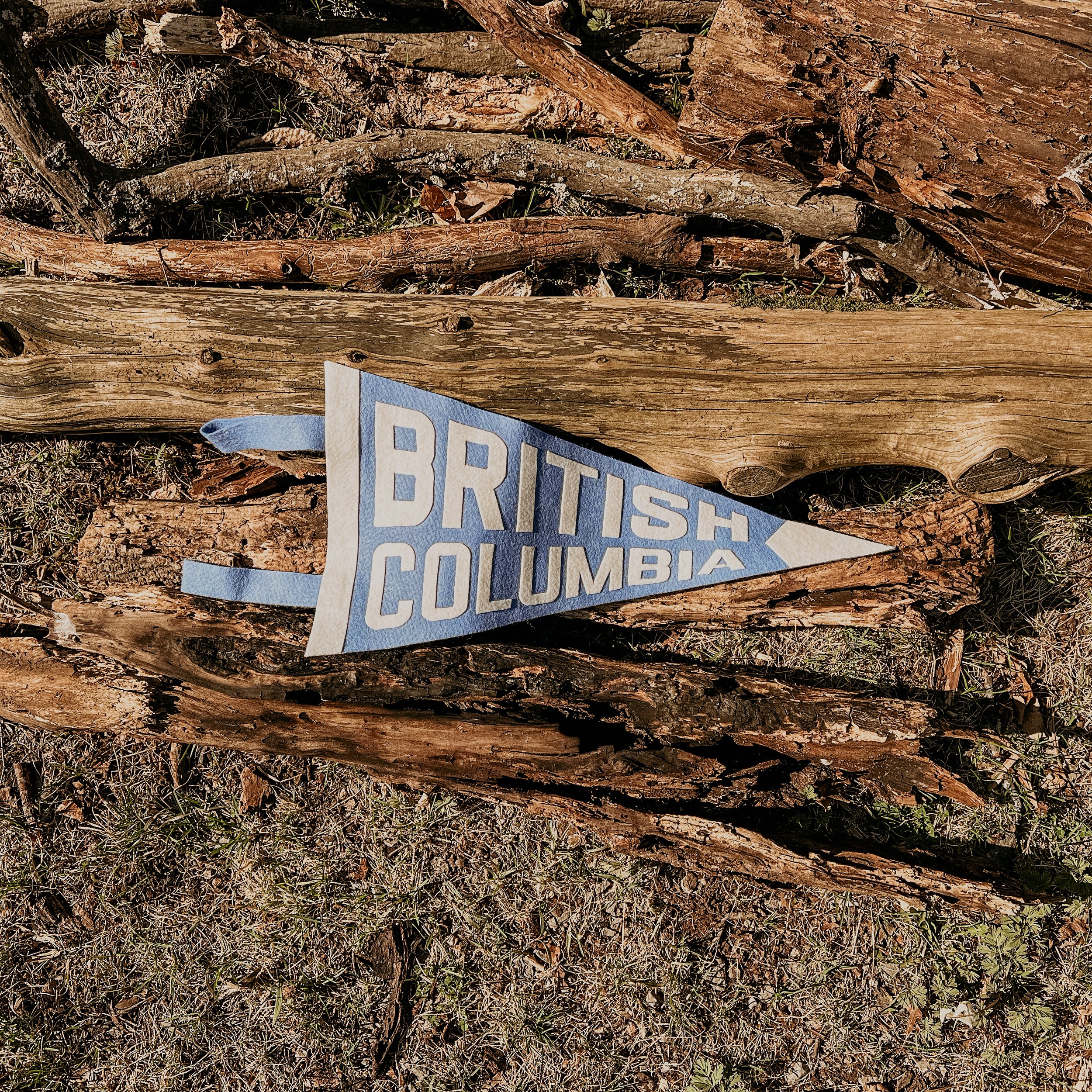 A close-up of fallen tree branches and dry grass, with part of a sign reading 'BRITISH COLUMBIA' visible.
