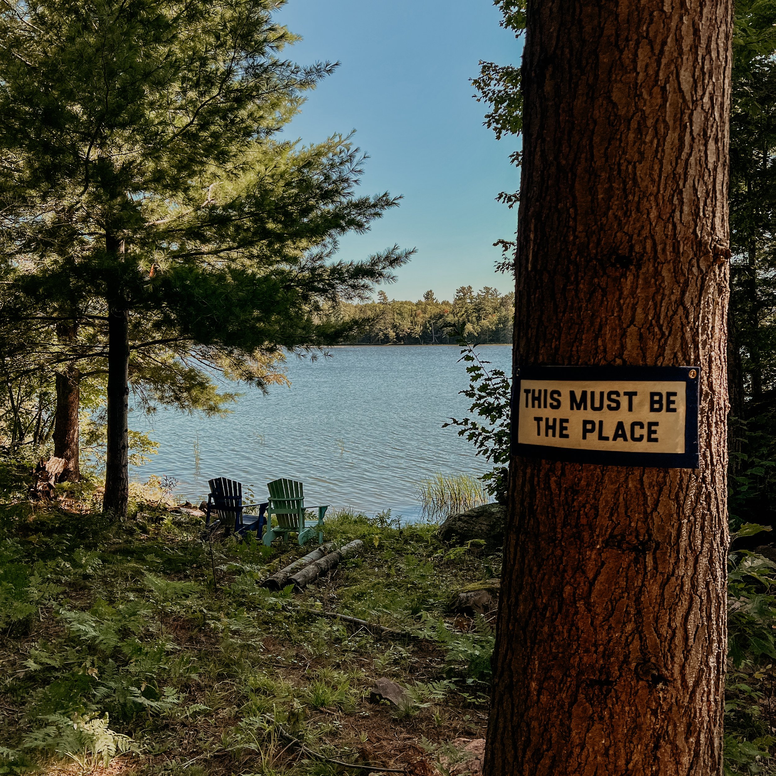 A lakeside scene with a large tree trunk in the foreground, surrounded by green foliage and trees, with a body of water and more trees in the background. There are three chairs near the water and a sign on the tree that reads 'THIS MUST BE THE PLACE.'