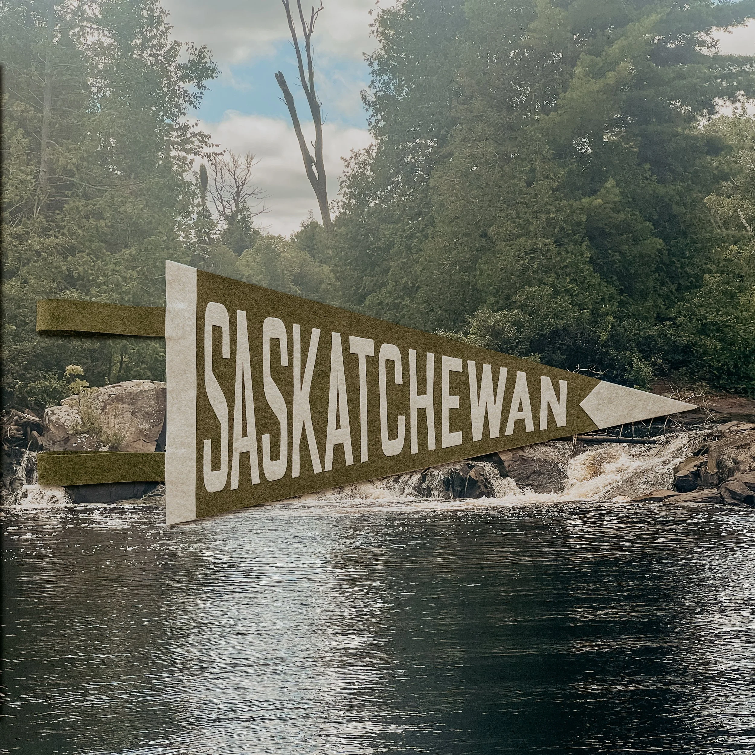 A fallen tree in the forest with a cloudy sky above and a sign in the foreground pointing towards various mountain destinations.