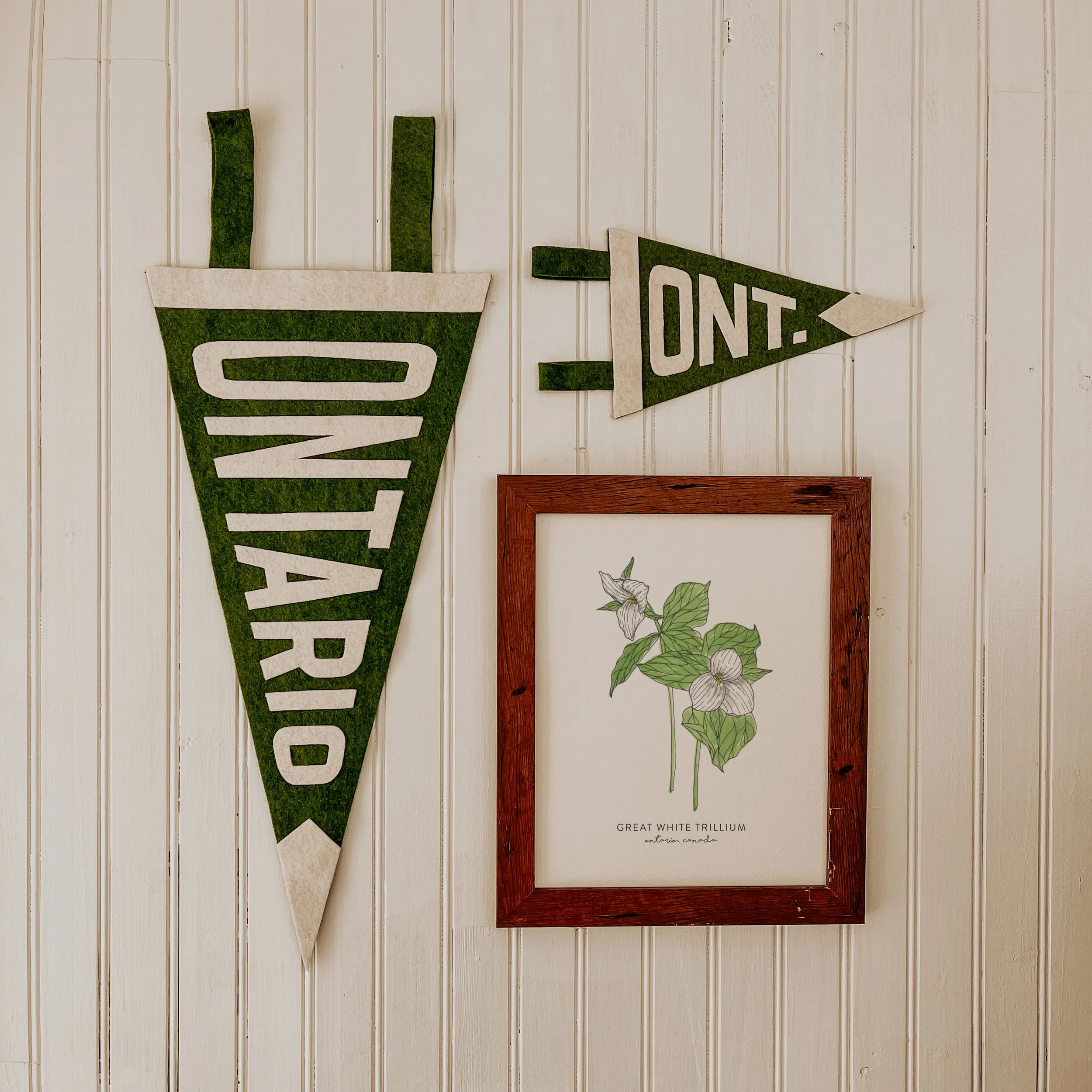Decorative sign featuring a stylized coffee cup with the words "GREAT WHITE TRILLIUM, Ontario, Canada" underneath, mounted on a white wooden panel wall.