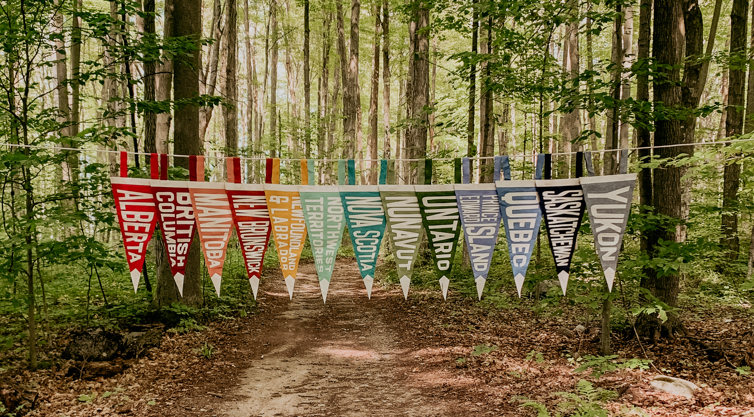 Colorful festival banners with names of various cities hanging across a dirt trail in a wooded forest.