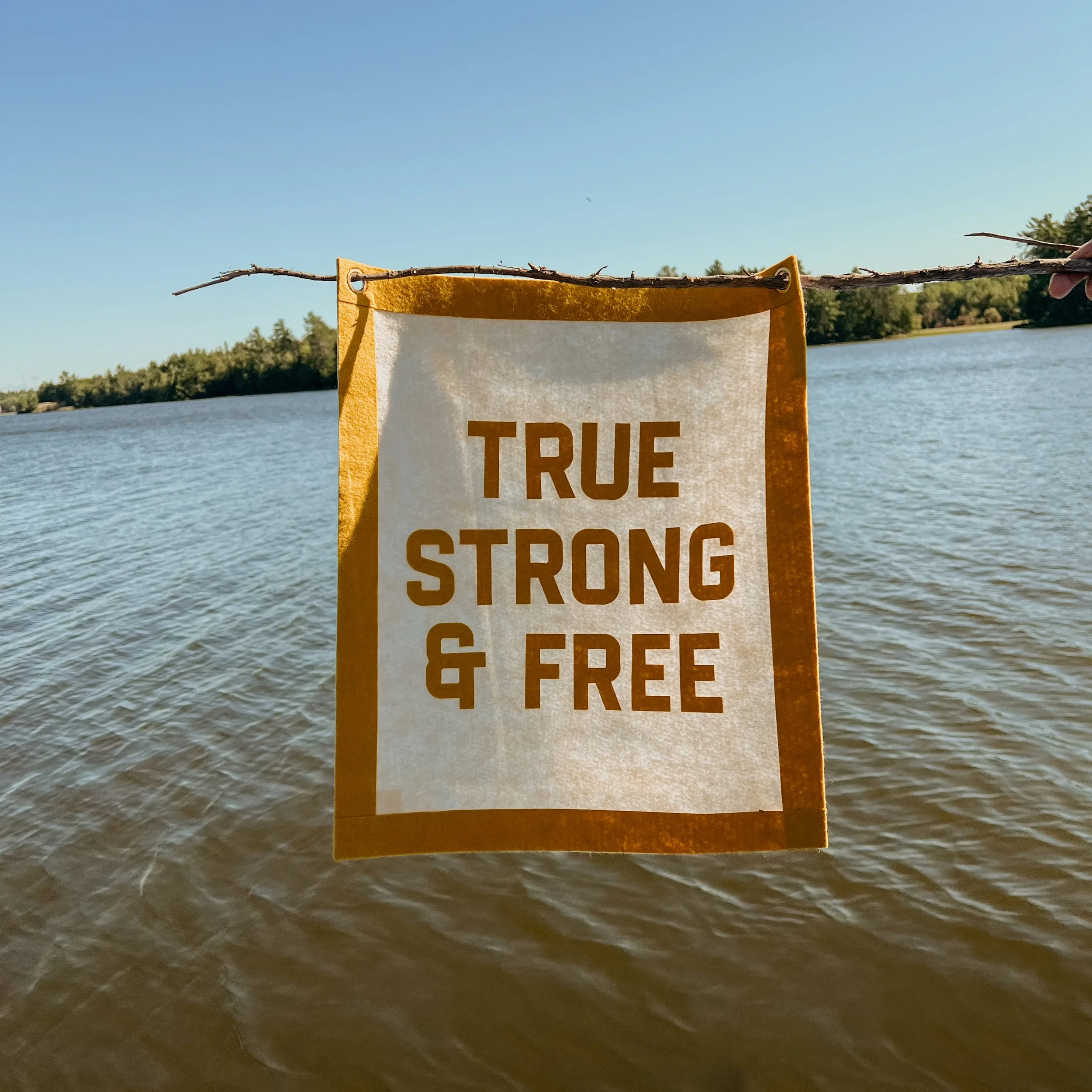 A yellow and white sign hanging from a stick in front of a body of water with trees in the background. The sign says, 'TRUE POTENCY & FREE'.