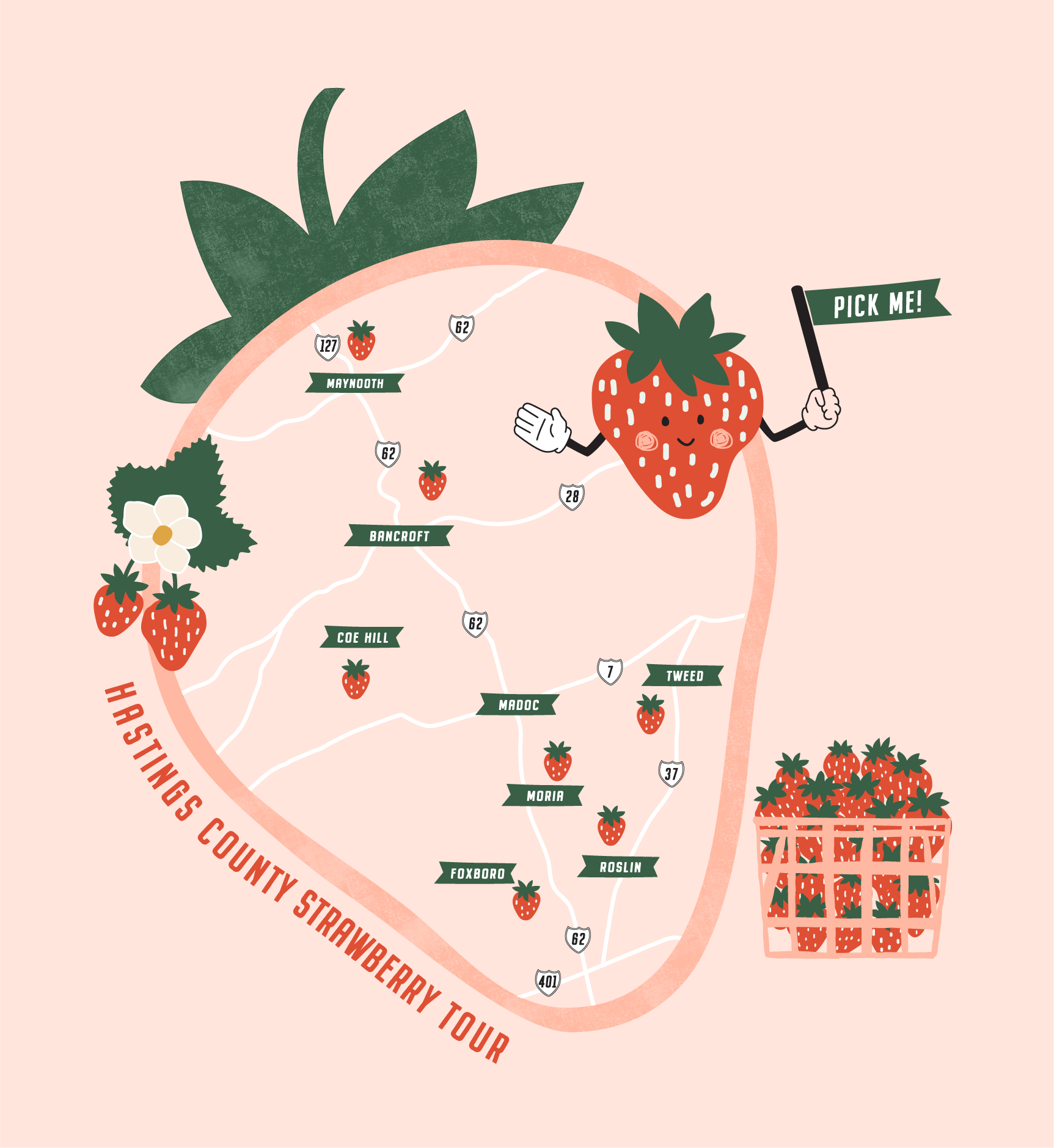 A cartoon-style map of Strawberry County, Georgia, featuring strawberry icons, green leaves, and a bunny holding a sign that says 'Pick Me!'. The map highlights towns and roads.