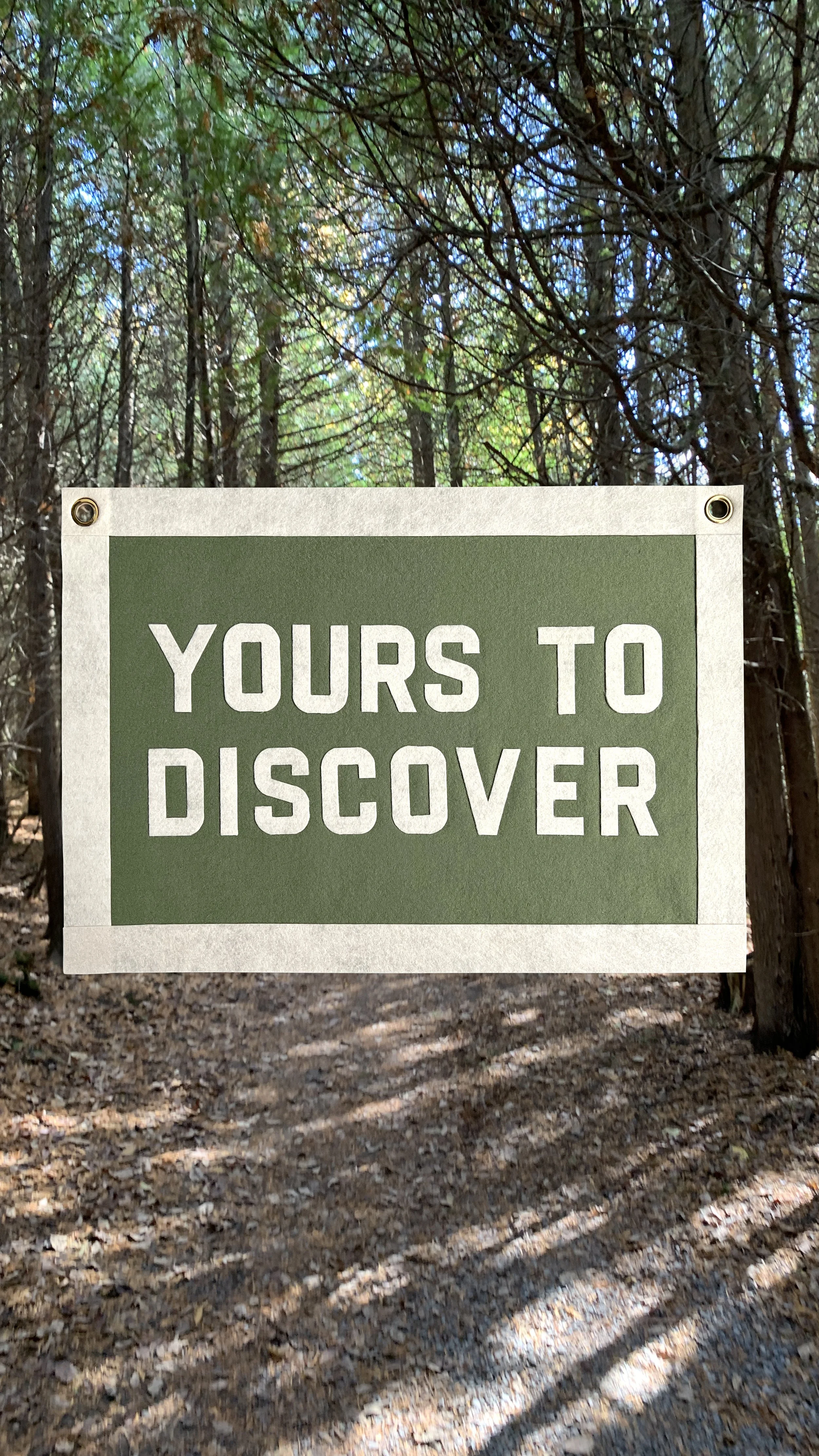 A sign in a forest area with the words 'YOURS TO DISCOVER' written in white on a green background.