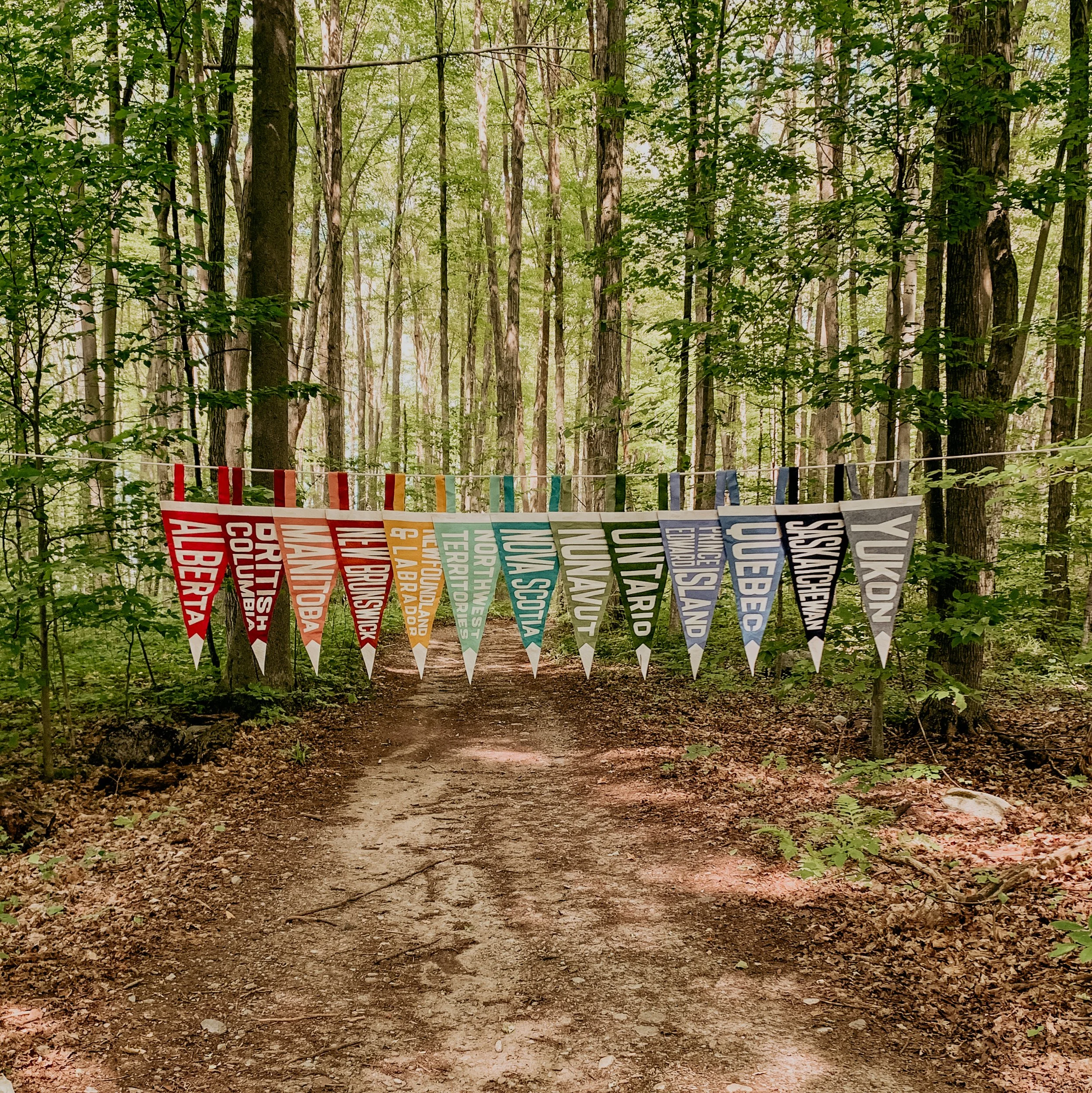 A wooded forest trail with green trees and leaves, decorated with colorful prayer flags hanging across the path.