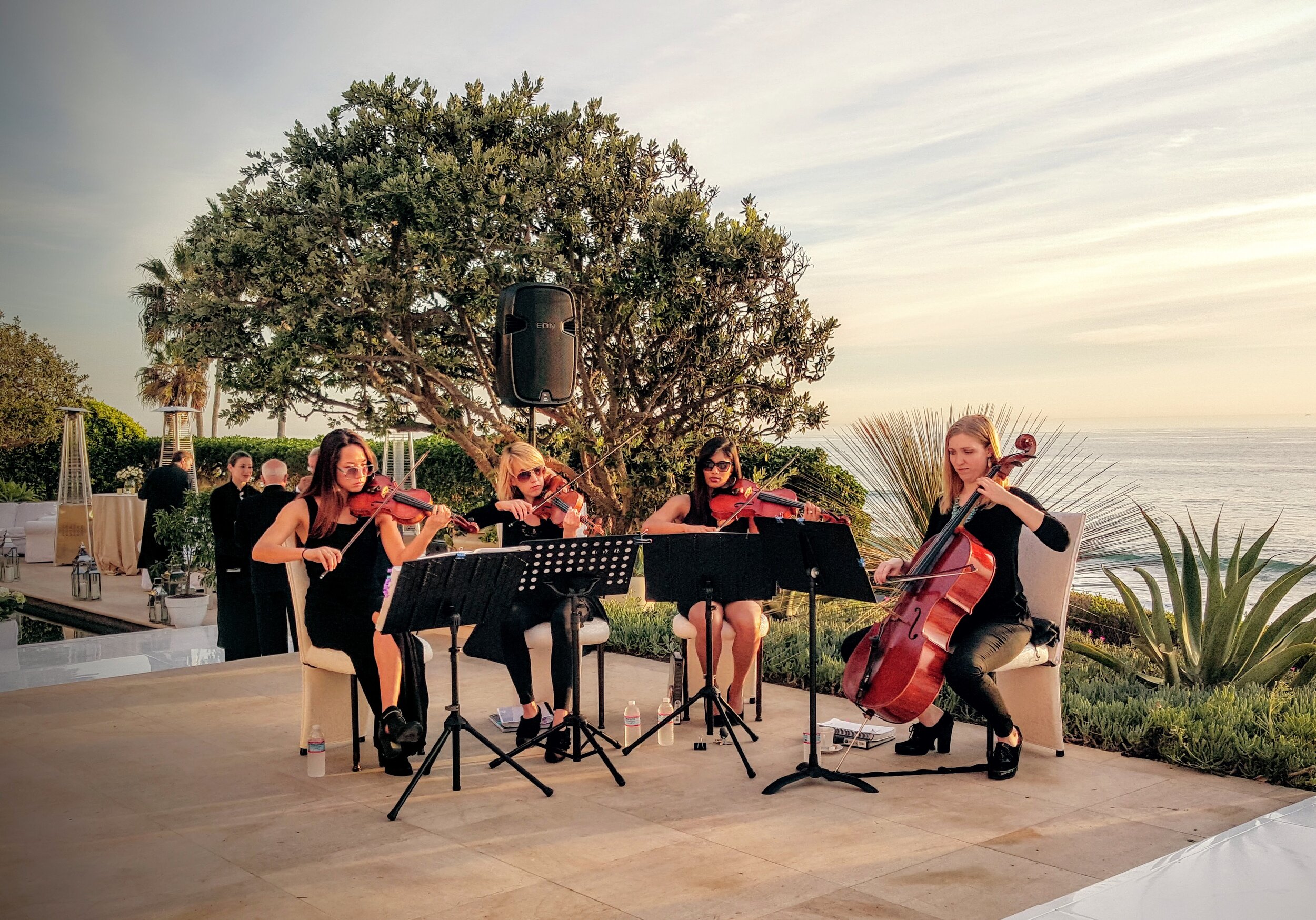 Ceremony music (soloist, string duo, trio or quartet)