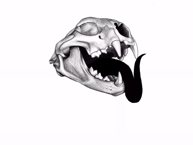 Skull.GIF