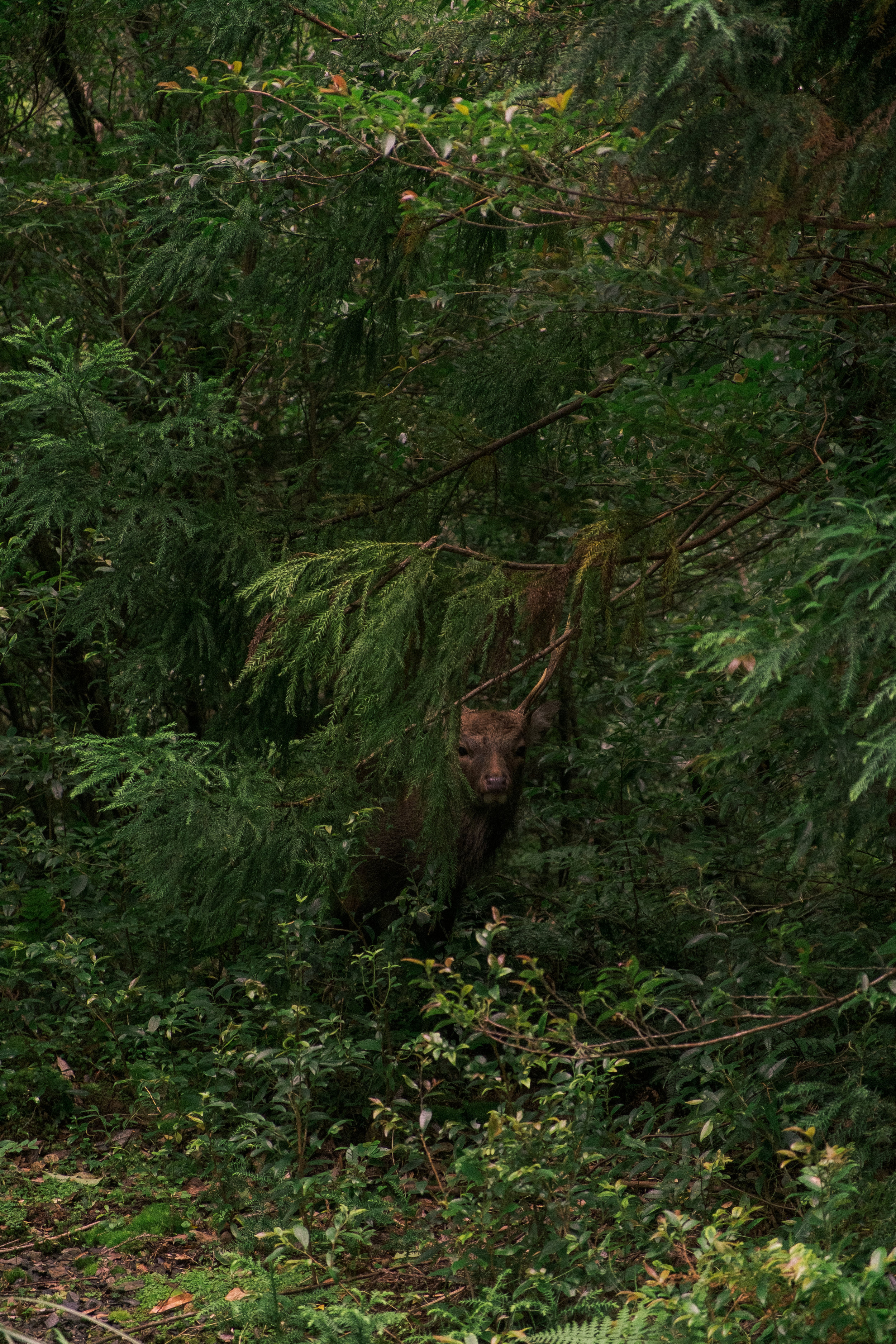 Lightroom-7123.jpg