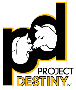 project destiny logo.png