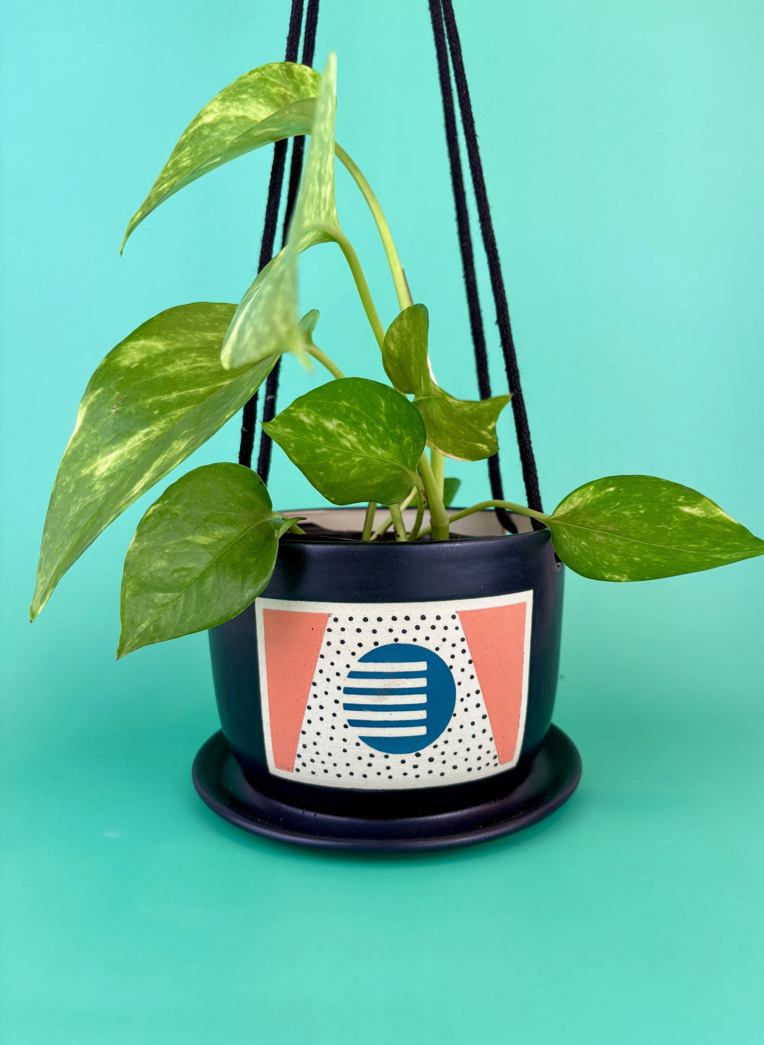 Hanging Planter in Pink and Blue