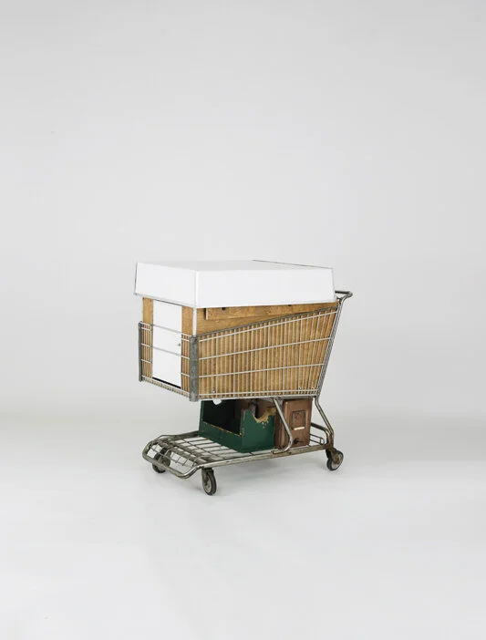 CamperKart07.jpg