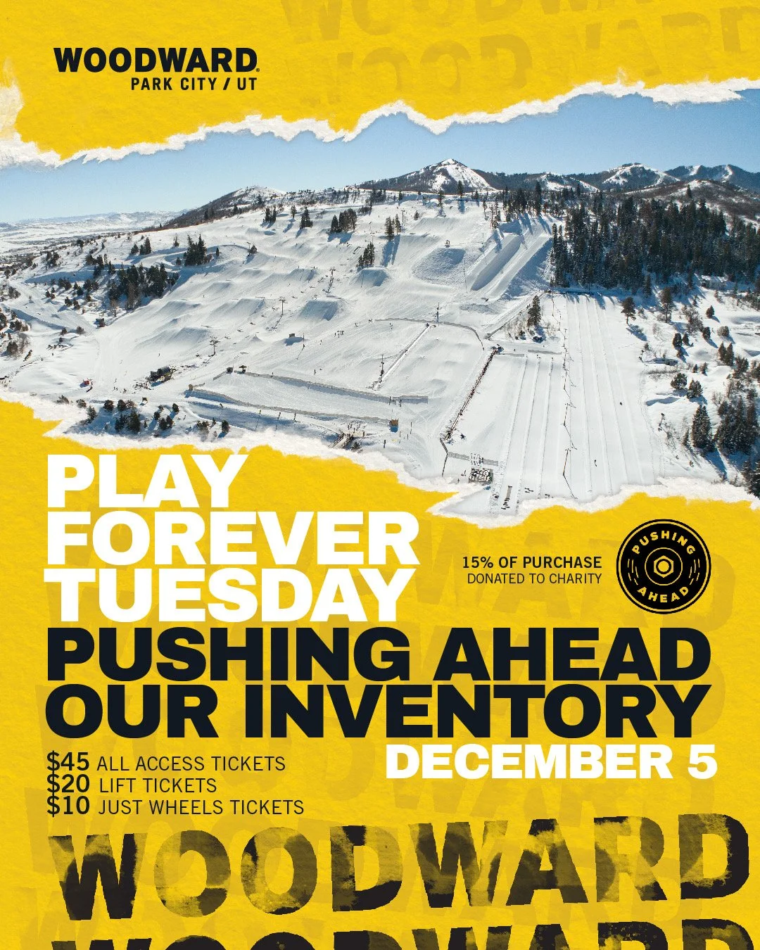 Pushing Ahead Our Inventory at Woodward