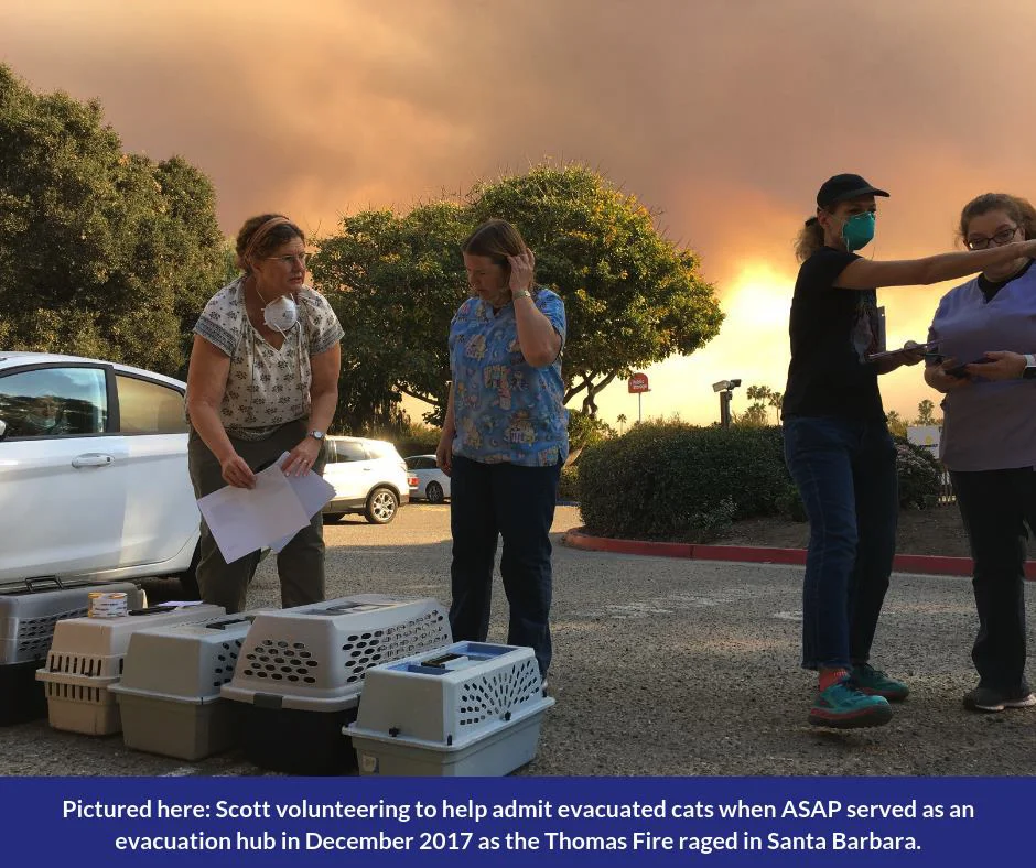 MaryScott_ThomasFire.jpg