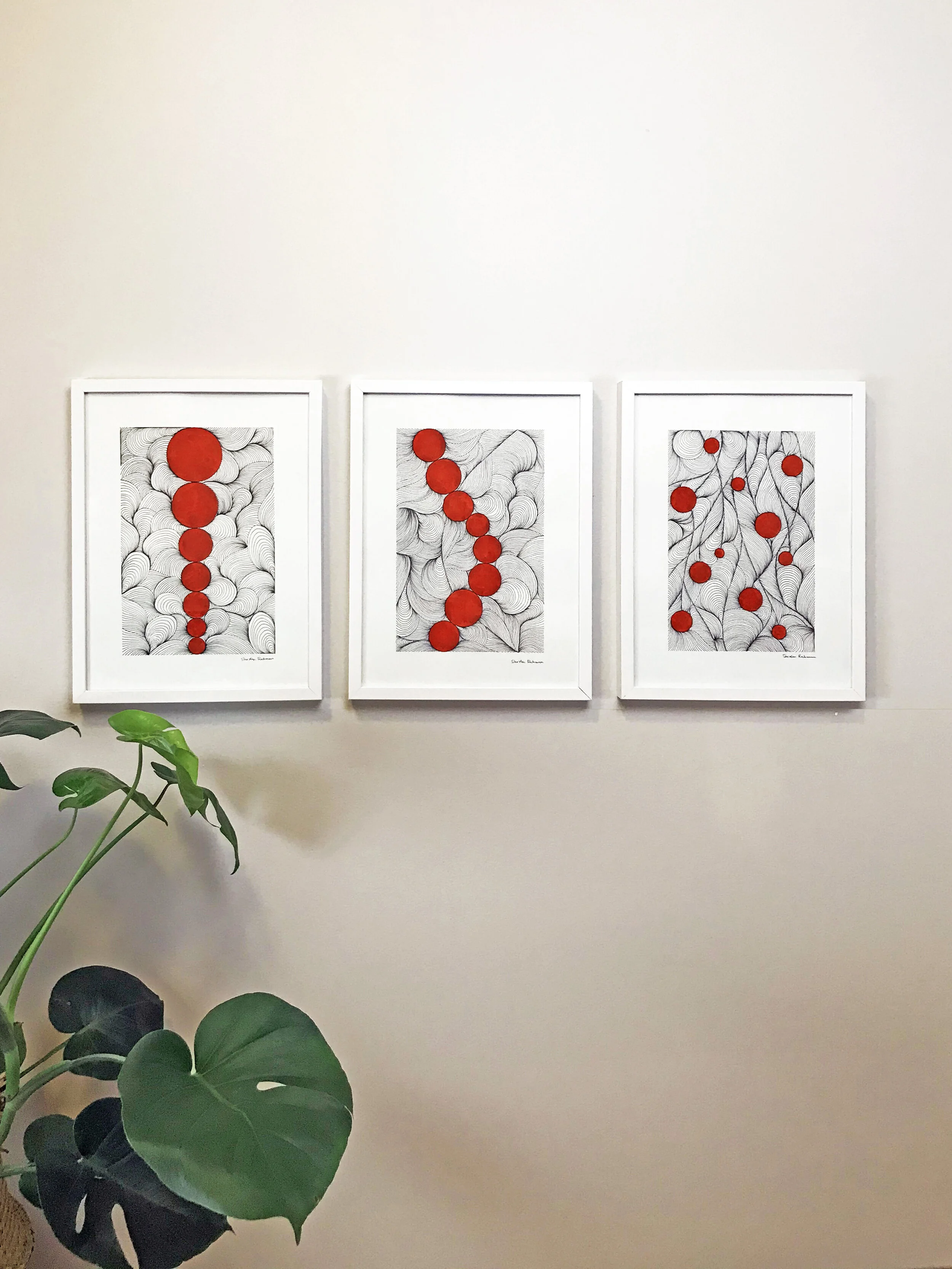 Red Dot Series in situ ED.jpg