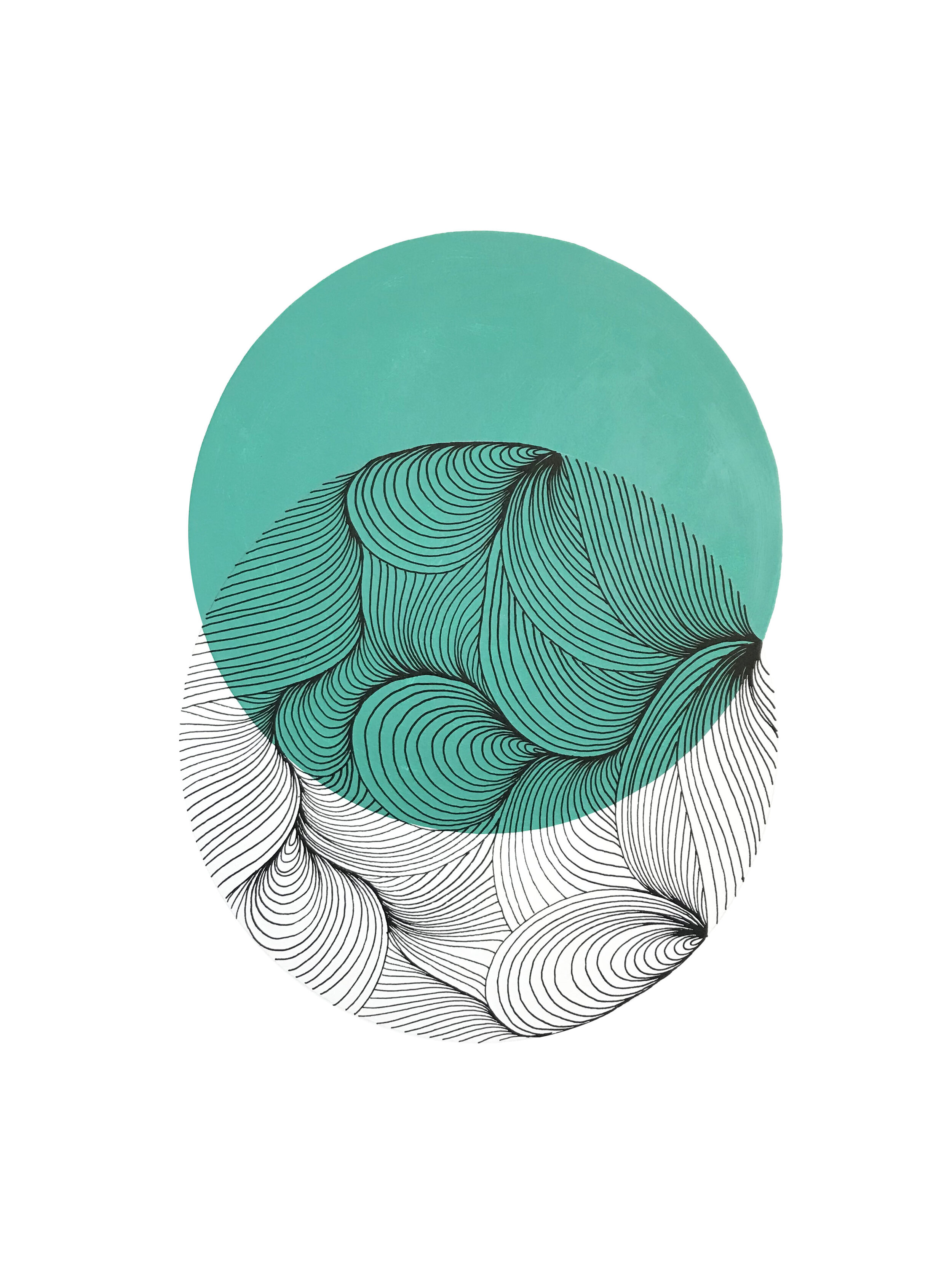 Offset - Seagrass.jpg