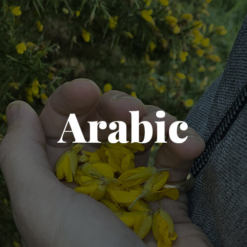 arabic.jpg