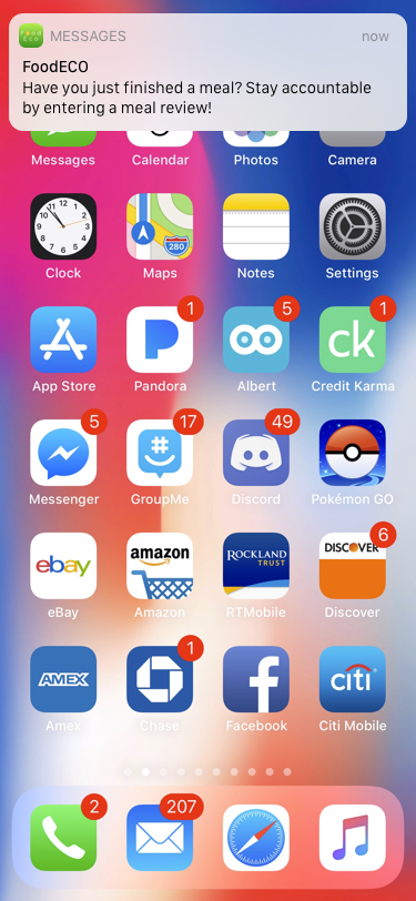 iPhone X Copy.png
