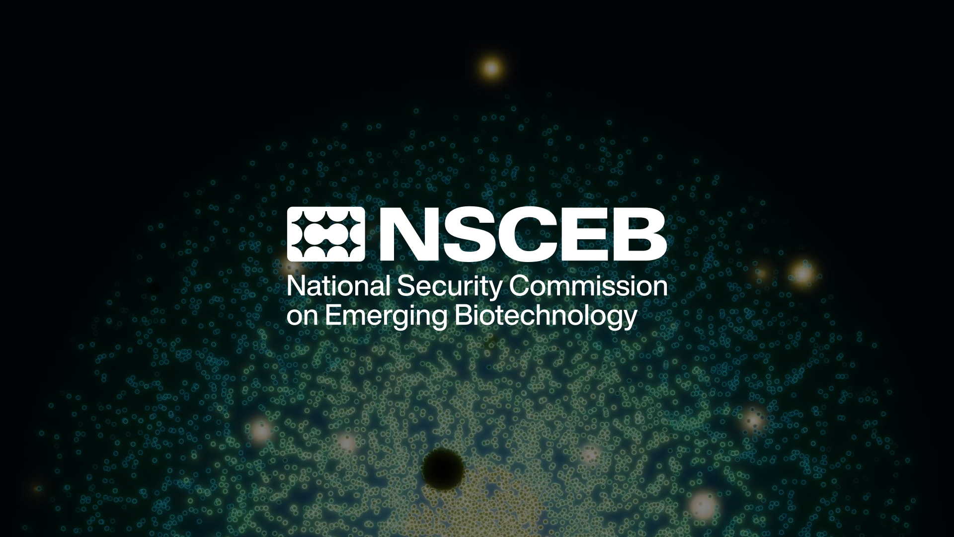 NSCEB.png