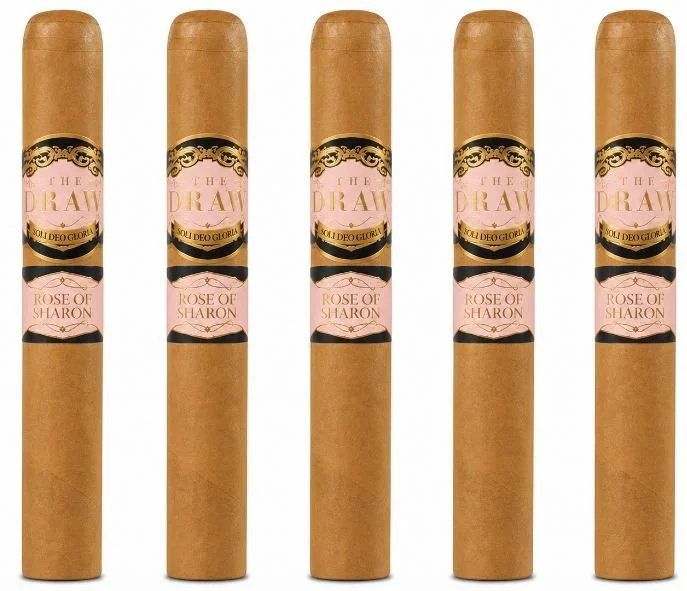 southern-draw-rose-of-sharon-toro-5-pack-69fa592e0b8881.54240860.jpg