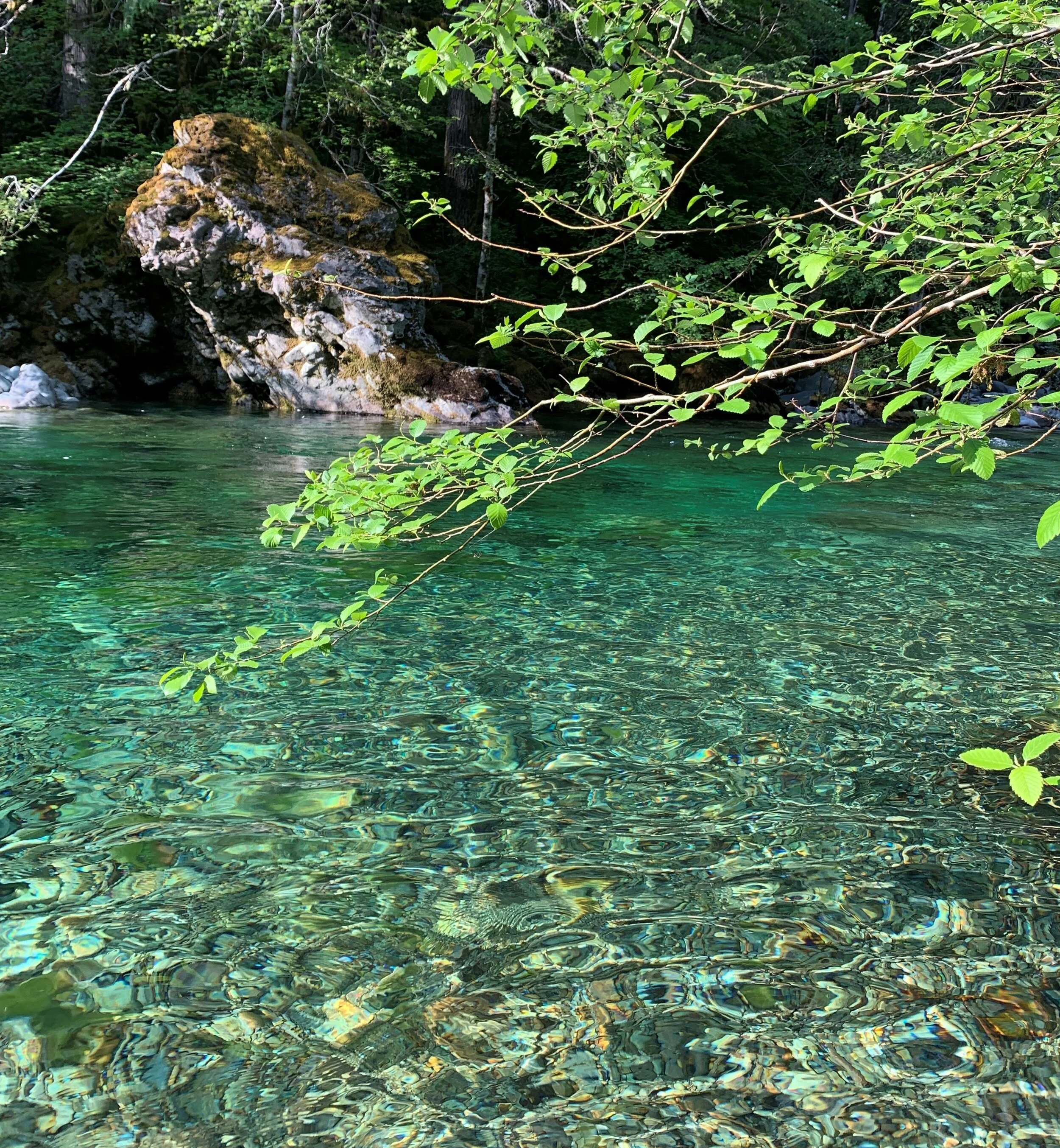 Battle Ax Creek.jpeg