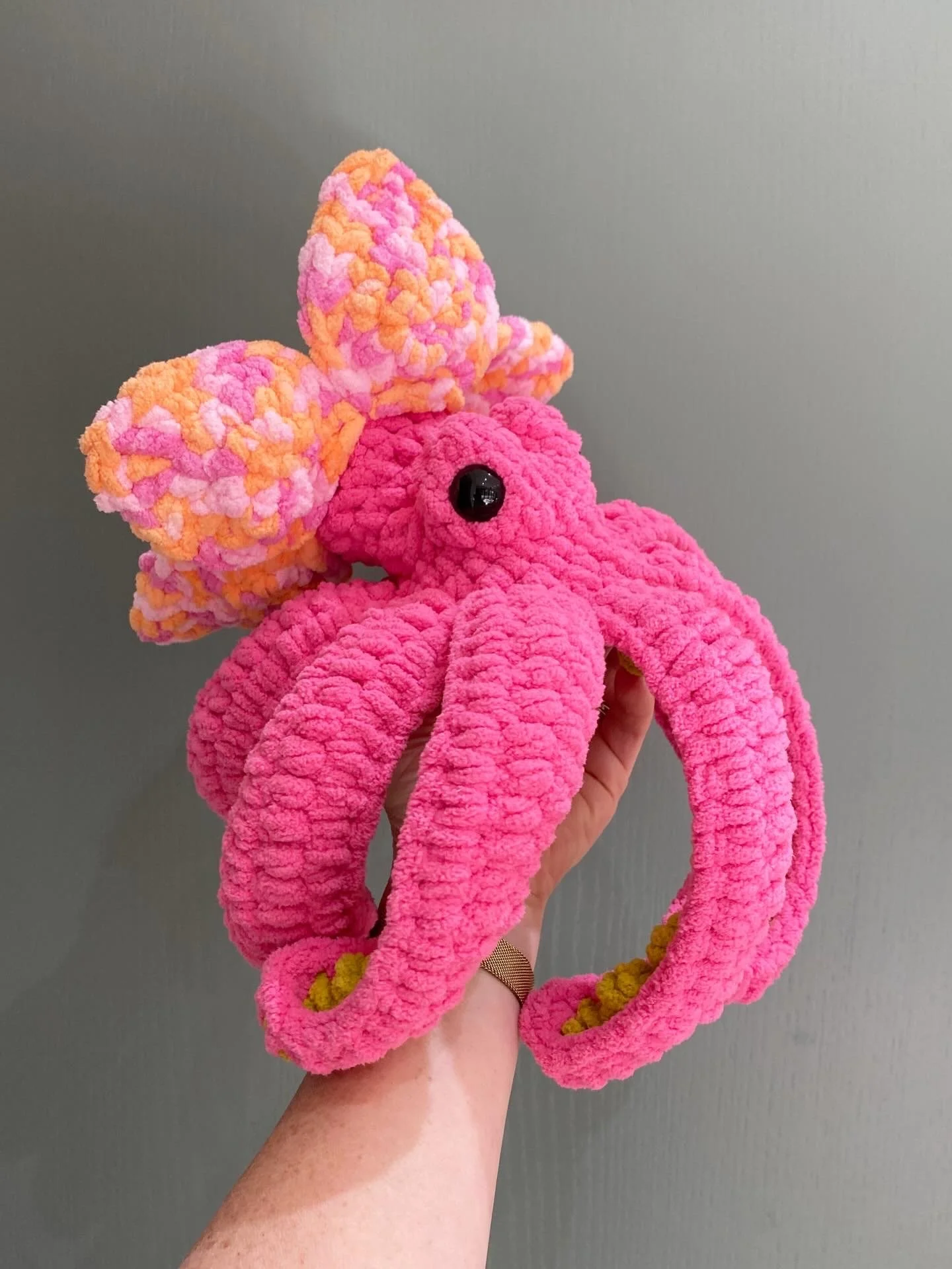 baby anchor octopus
