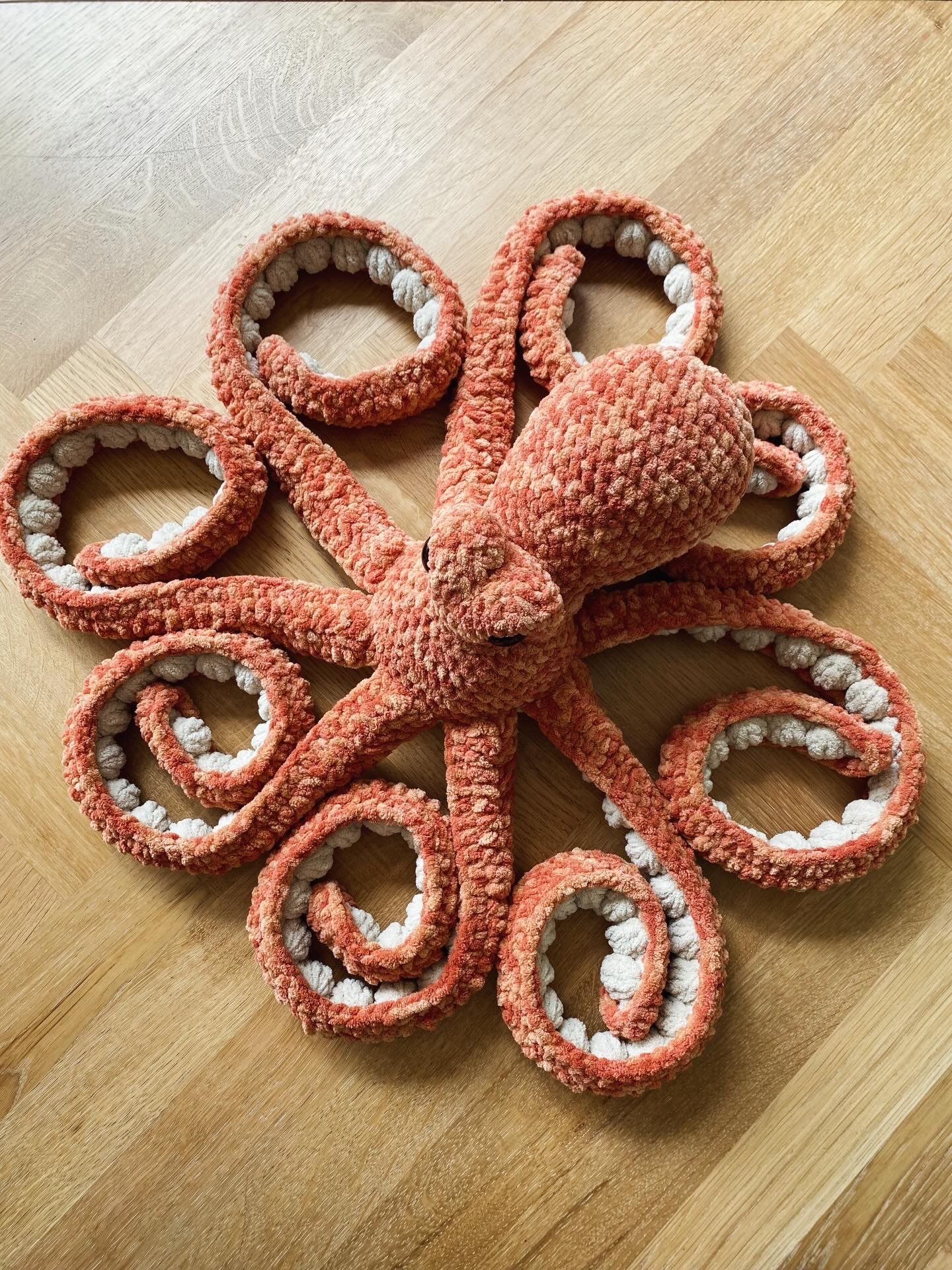 anchor the octopus