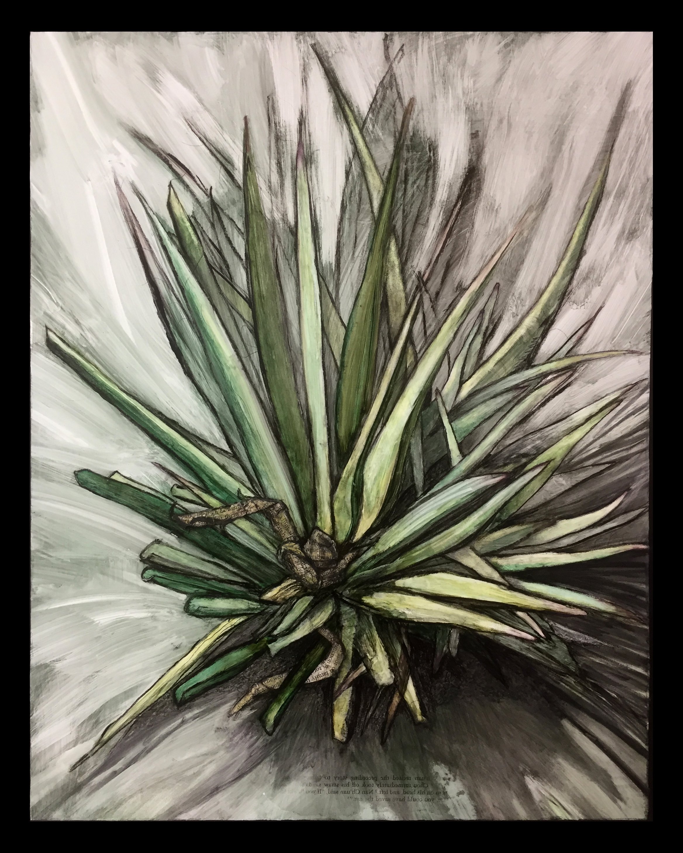 YuccaMixed media on wood panel, including charcoal, watercolor, and text from case #64 in "The Blue Cliff Record".  20" x 16" x 1.5".  2021