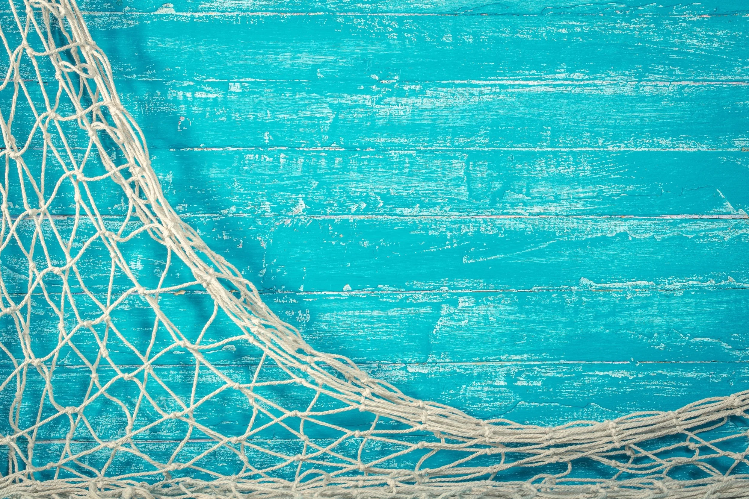 smaller+net+pic.jpg