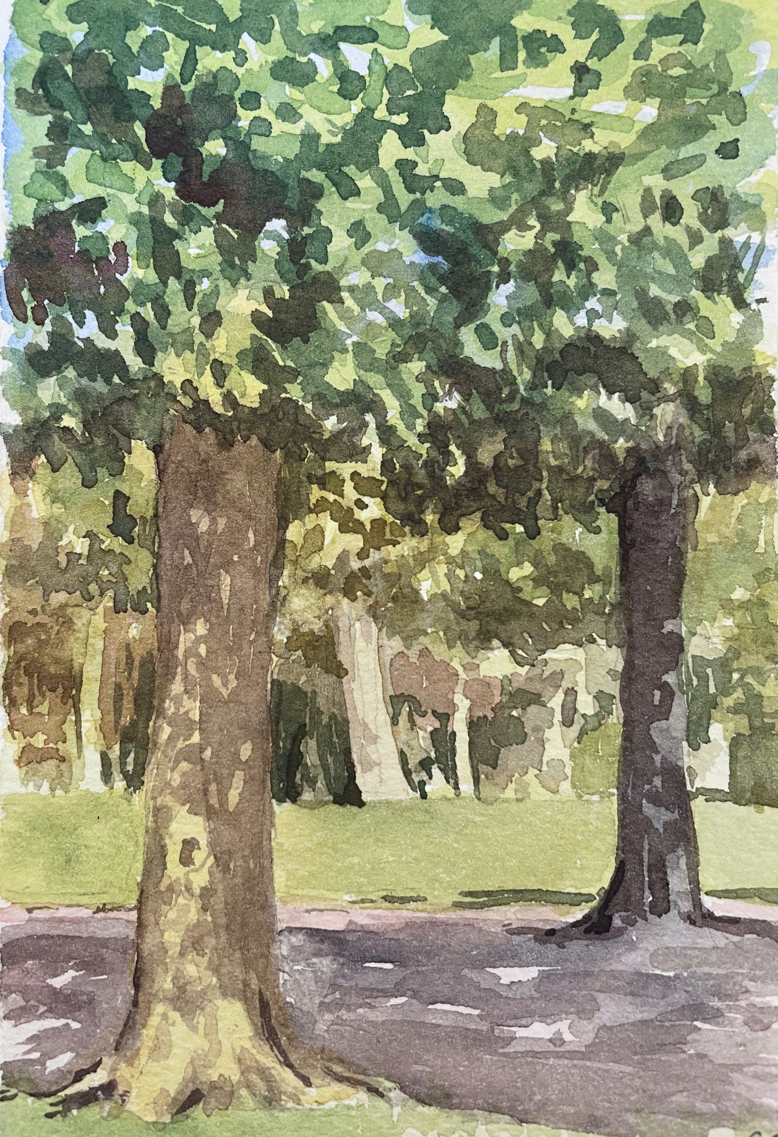 Two Trees, watercolour on paper, 14 x 10cm, 2022, private collection