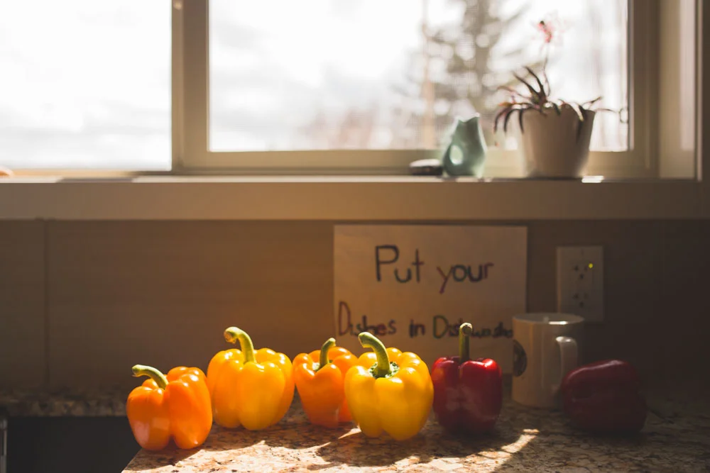 Just a bunch of peppers, lined up and waiting for refrigeration. Notice how effective the sign is? Notice how it’s my mug?