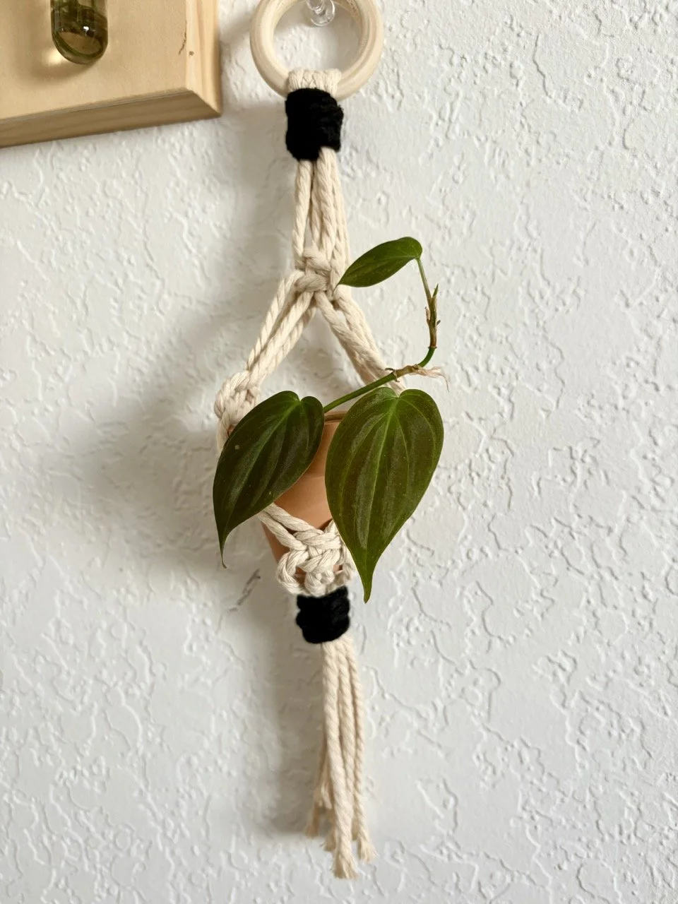 Mini Plant Hanger Black and Cream