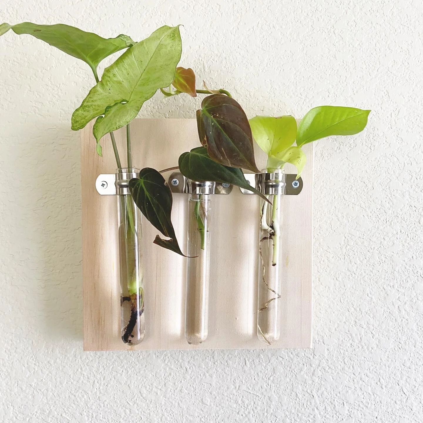 B41C0BF6-B6D7-4852-AF63-8B2E309BC09E