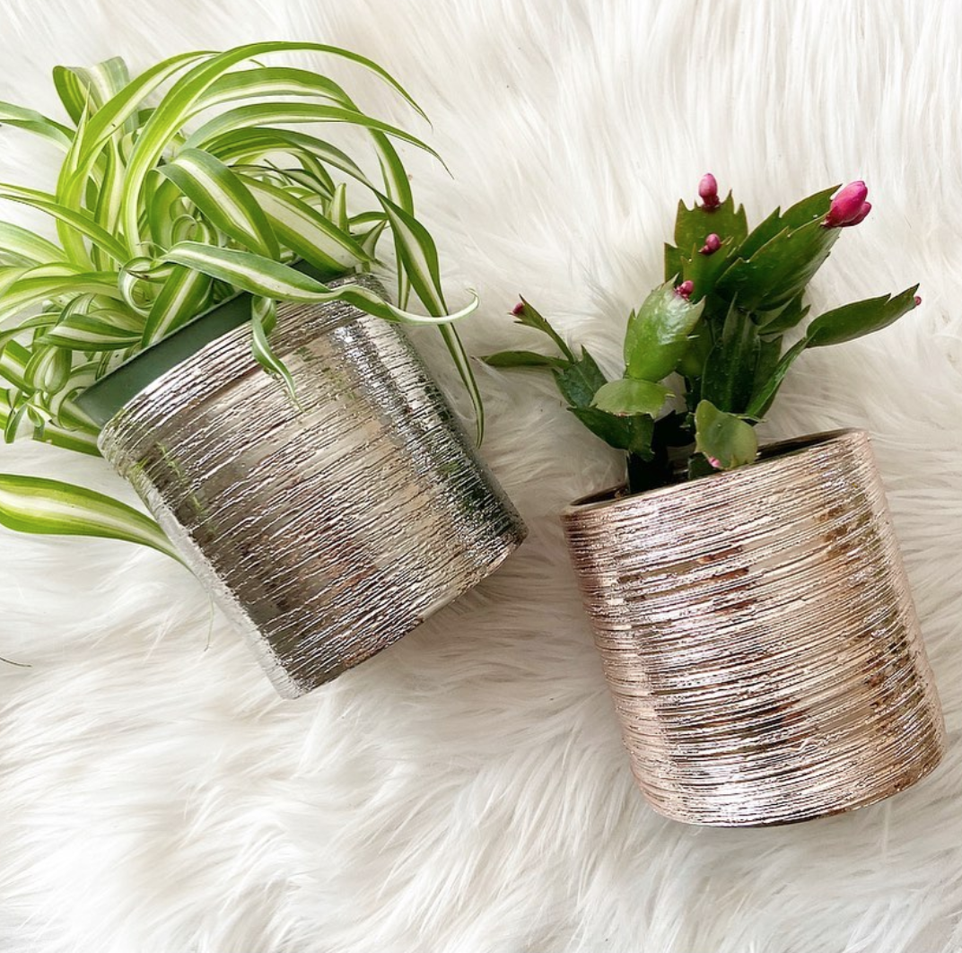 Screen Shot 2020-04-27 at 4.24.50 PM.png