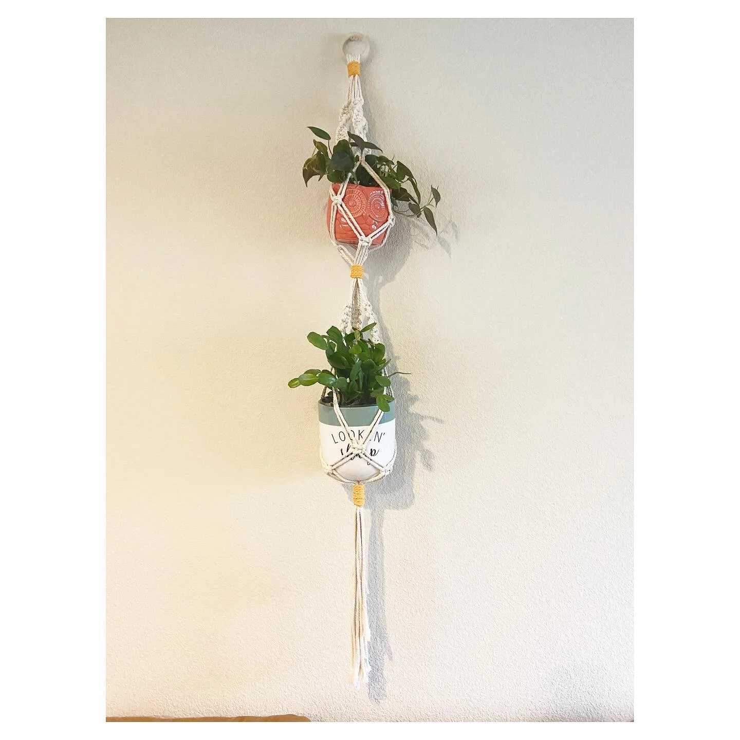 Double Macrame Plant Holder