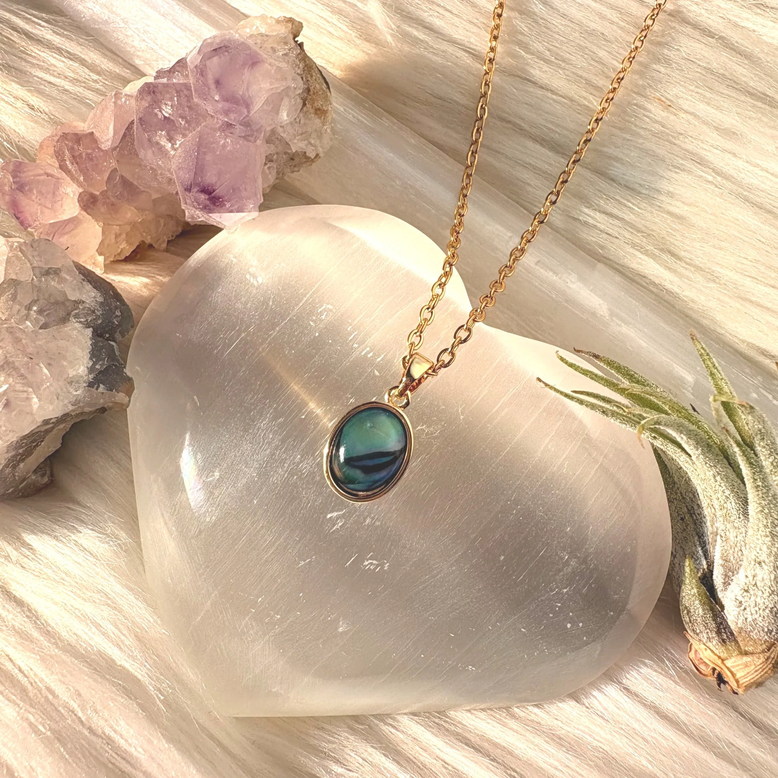 Abalone Necklace